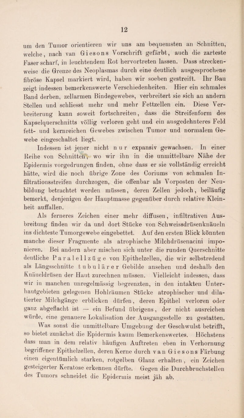 um den Tumor orientieren wir uns am bequemsten an Schnitten, welche, nach van Giesons Vorschrift gefärbt, auch die zarteste Faser scharf, in leuchtendem Rot hervortreten lassen. Dass strecken¬ weise die Grenze des Neoplasmas durch eine deutlich ausgesprochene fibröse Kapsel markiert wird, haben wir soeben gestreift. Ihr Bau zeigt indessen bemerkenswerte Verschiedenheiten. Hier ein schmales Band derben, zellarmen Bindegewebes, verbreitert sie sich an andern Stellen und schliesst mehr und mehr Fettzellen ein. Diese Ver¬ breiterung kann soweit fortschreiten, dass die Streifenform des Kapselquerschnitts völlig verloren geht und ein ausgedehnteres Feld fett- und kernreichen Gewebes zwischen Tumor und normalem Ge¬ webe eingeschaltet liegt. Indessen ist jener nicht nur expansiv gewachsen. In einer Reihe von Schnitten, wo wir ihn in die unmittelbare Nähe der Epidermis vorgedrungen finden, ohne dass er sie vollständig erreicht hätte, wird die noch übrige Zone des Coriums von schmalen In¬ filtrationsstreifen durchzogen, die offenbar als Vorposten der Neu¬ bildung betrachtet werden müssen, deren Zellen jedoch, beiläufig bemerkt, denjenigen der Hauptmasse gegenüber durch relative Klein¬ heit auffallen. Als ferneres Zeichen einer mehr diffusen, infiltrativen Aus¬ breitung finden wir da und dort Stücke von Schweissdrüsenknäueln ins dichteste Tumorgewebe eingebettet. Auf den ersten Blick könnten manche dieser Fragmente als atrophische Milchdrüsenacini impo¬ nieren. Bei andern aber mischen sich unter die runden Querschnitte deutliche Paralellzüge von Epithelzellen, die wir selbstredend als Längsschnitte tubulärer Gebilde ansehen und deshalb den Knäueldrüsen der Haut zurechnen müssen. Vielleicht indessen, dass wir in manchen unregelmässig begrenzten, in den intakten Unter¬ hautgebieten gelegenen Hohlräumen Stücke atrophischer und dila- tierter Milchgänge erblicken dürfen, deren Epithel verloren oder ganz abgeflacht ist — ein Befund übrigens, der nicht ausreichen würde, eine genauere Lokalisation der Ausgangsstelle zu gestatten. Was sonst die unmittelbare Umgebung der Geschwulst betrifft, so bietet zunächst die Epidermis kaum Bemerkenswertes. Höchstens dass man in dem relativ häufigen Auftreten eben in Verhornung begriffener Epithelzellen, deren Kerne durch van Giesons Färbung einen eigentümlich starken, rotgelben Glanz erhalten , ein Zeichen gesteigerter Keratose erkennen dürfte. Gegen die Durchbruchstellen des Lu mors schneidet die Epidermis meist jäh ab.