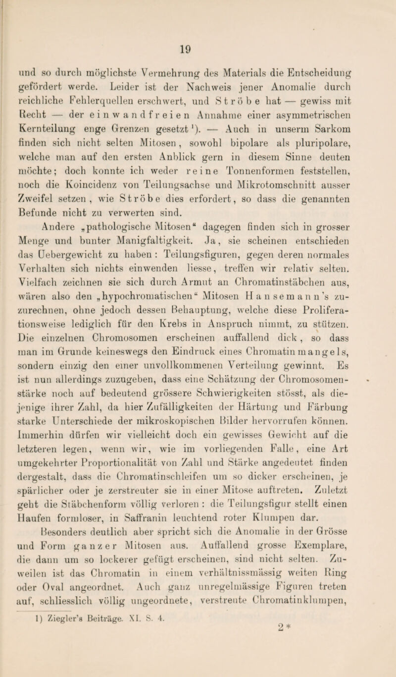 und so durch möglichste Vermehrung des Materials die Entscheidung gefördert werde. Leider ist der Nachweis jener Anomalie durch reichliche Fehlerquellen erschwert, und Ströhe hat — gewiss mit liecht — der einwandfreien Annahme einer asymmetrischen Kernteilung enge Grenzen gesetzt '). — Auch in unserm Sarkom finden sich nicht selten Mitosen , sowohl bipolare als pluripolare, welche man auf den ersten Anblick gern in diesem Sinne deuten möchte; doch konnte ich weder reine Tonnenformen feststellen, noch die Koincidenz von Teilungsachse und Mikrotomschnitt ausser Zweifel setzen, wie Ströbe dies erfordert, so dass die genannten Befunde nicht zu verwerten sind. Andere „pathologische Mitosen“ dagegen finden sich in grosser Menge und bunter Manigfaltigkeit. Ja, sie scheinen entschieden das Uebergewiclit zu haben : Teilungsfiguren, gegen deren normales Verhalten sich nichts einwenden Hesse, treffen wir relativ selten. Vielfach zeichnen sie sich durch Armut an Chromatinstäbchen aus, wären also den „hypochromatischen“ Mitosen Hansemann’s zu¬ zurechnen, ohne jedoch dessen Behauptung, welche diese Prolifera¬ tionsweise lediglich für den Krebs in Anspruch nimmt, zu stützen. Die einzelnen Chromosomen erscheinen auffallend dick , so dass man im Grunde keineswegs den Eindruck eines Chromatin man ge ls, sondern einzig den einer unvollkommenen Verteilung gewinnt. Es ist nun allerdings zuzugeben, dass eine Schätzung der Chromosomen¬ stärke noch auf bedeutend grössere Schwierigkeiten stösst, als die¬ jenige ihrer Zahl, da hier Zufälligkeiten der Härtung und Färbung starke Unterschiede der mikroskopischen Bilder hervorrufen können. Immerhin dürfen wir vielleicht doch ein gewisses Gewicht auf die letzteren legen, wenn wir, wie im vorliegenden Falle, eine Art umgekehrter Proportionalität von Zahl und Stärke angedeutet finden dergestalt, dass die Chromatinschleifen um so dicker erscheinen, je spärlicher oder je zerstreuter sie in einer Mitose auftreten. Zuletzt geht die Stäbchenform völlig verloren : die Teilungsfigur stellt einen Haufen formloser, in Saffranin leuchtend roter Klumpen dar. Besonders deutlich aber spricht sich die Anomalie in der Grösse und Form ganzer Mitosen aus. Auffallend grosse Exemplare, die dann um so lockerer gefügt erscheinen, sind nicht selten. Zu¬ weilen ist das Chromatin in einem verhältnissmässig weiten Bing oder Oval angeordnet. Auch ganz unregelmässige Figuren treten auf, schliesslich völlig ungeordnete, verstreute Chromatinklumpen, 1) Ziegler’s Beiträge. XI. S. 4. 2 *