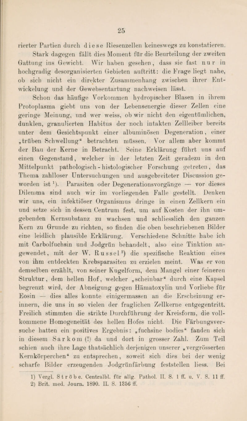 rierter Partien durch diese Riesenzellen keineswegs zu konstatieren. Stark dagegen fällt dies Moment für die Beurteilung der zweiten Gattung ins Gewicht. Wir haben gesehen, dass sie fast nur in hochgradig desorganisierten Gebieten auftritt: die Frage liegt nahe, ob sich nicht ein direkter Zusammenhang zwischen ihrer Ent¬ wickelung und der Gewebsentartung nachweisen lässt. Schon das häufige Vorkommen hydropischer Blasen in ihrem Protoplasma giebt uns von der Lebensenergie dieser Zellen eine geringe Meinung, und wer weiss, ob wir nicht den eigentümlichen, dunklen, granulierten Habitus der noch intakten Zellleiber bereits unter dem Gesichtspunkt einer albuminösen Degeneration, einer „trüben Schwellung“ betrachten müssen. Vor allem aber kommt der Bau der Kerne in Betracht. Seine Erklärung führt uns auf einen Gegenstand, welcher in der letzten Zeit geradezu in den Mittelpunkt pathologisch - histologischer Forschung getreten, das Thema zahlloser Untersuchungen und ausgebreiteter Discussion ge¬ worden ist 1). Parasiten oder DegenerationsVorgänge — vor dieses Dilemma sind auch wir im vorliegenden Falle gestellt. Denken wir uns, ein infektiöser Organismus dringe in einen Zellkern ein und setze sich in dessen Centrum fest, um auf Kosten der ihn um¬ gebenden Kernsubstanz zu wachsen und schliesslich den ganzen Kern zu Grunde zu richten, so finden die oben beschriebenen Bilder eine leidlich plausible Erklärung. Verschiedene Schnitte habe ich mit Carboifuchsin und Jodgrün behandelt, also eine Tinktion an¬ gewendet, mit der W. Rüssel2) die spezifische Reaktion eines von ihm entdeckten Krebsparasiten zu erzielen meint. Was er von demselben erzählt, von seiner Kugelform, dem Mangel einer feineren Struktur, dem hellen Hof, welcher „scheinbar“ durch eine Kapsel begrenzt wird, der Abneigung gegen Hämatoxylin und Vorliebe für Eosin — dies alles konnte einigermassen an die Erscheinung er¬ innern, die uns in so vielen der fraglichen Zellkerne entgegentritt. Freilich stimmten die strikte Durchführung der Kreisform, die voll¬ kommene Homogeneität des hellen Hofes nicht. Die Färbungsver¬ suche hatten ein positives Ergebnis: „fuchsine bodies“ fanden sich in diesem Sarkom (!) da und dort in grosser Zahl. Zum Teil schien auch ihre Lage thatsächlich derjenigen unserer „ vergrösserten Kernkörperchen“ zu entsprechen, soweit sich dies bei der wenig scharfe Bilder erzeugenden Jodgrünfärbung feststellen liess. Bei 1) Vergl. Strobe. Centralbl. für allg. Pathol. II. S. 1 ff. u. V. S. 11 ff. 2) Brit. med. Journ. 1890. II. S. 1356 ff.