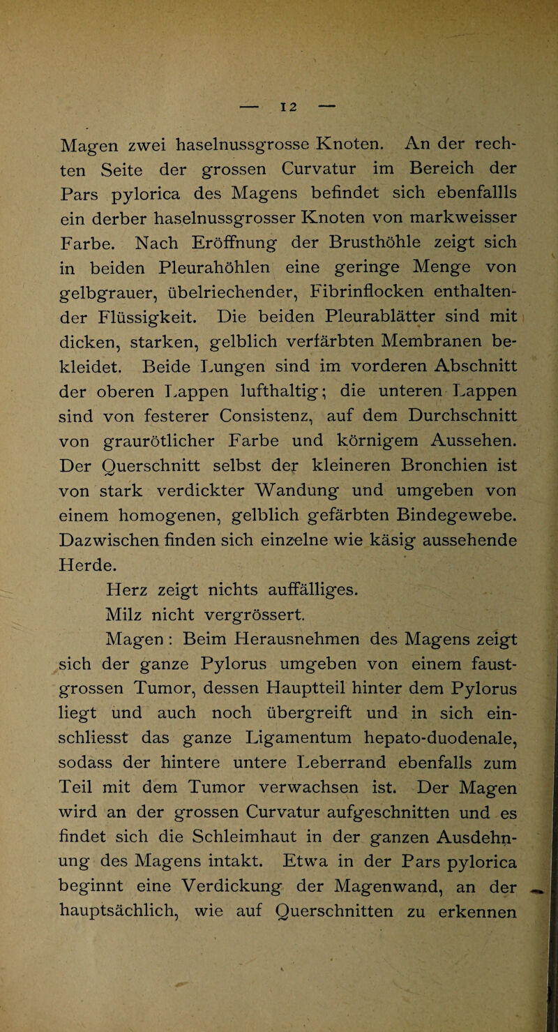 Magen zwei haselnussgrosse Knoten. An der rech¬ ten Seite der grossen Curvatur im Bereich der Pars pylorica des Magens befindet sich ebenfallls ein derber haselnussgrosser Knoten von markweisser Farbe. Nach Eröffnung der Brusthöhle zeigt sich in beiden Pleurahöhlen eine geringe Menge von gelbgrauer, übelriechender, Fibrinflocken enthalten¬ der Flüssigkeit. Die beiden Pleurablätter sind mit dicken, starken, gelblich verfärbten Membranen be¬ kleidet. Beide Lungen sind im vorderen Abschnitt der oberen Lappen lufthaltig; die unteren Lappen sind von festerer Consistenz, auf dem Durchschnitt von graurötlicher Farbe und körnigem Aussehen. Der Ouerschnitt selbst der kleineren Bronchien ist von stark verdickter Wandung und umgeben von einem homogenen, gelblich gefärbten Bindegewebe. Dazwischen finden sich einzelne wie käsig aussehende Herde. Herz zeigt nichts auffälliges. Milz nicht vergrössert. Magen : Beim Herausnehmen des Magens zeigt sich der ganze Pylorus umgeben von einem faust¬ grossen Tumor, dessen Hauptteil hinter dem Pylorus liegt und auch noch übergreift und in sich ein- schliesst das ganze Ligamentum hepato-duodenale, sodass der hintere untere Leberrand ebenfalls zum Teil mit dem Tumor verwachsen ist. Der Magen wird an der grossen Curvatur aufgeschnitten und es findet sich die Schleimhaut in der ganzen Ausdehn¬ ung des Magens intakt. Etwa in der Pars pylorica beginnt eine Verdickung der Magenwand, an der hauptsächlich, wie auf Querschnitten zu erkennen