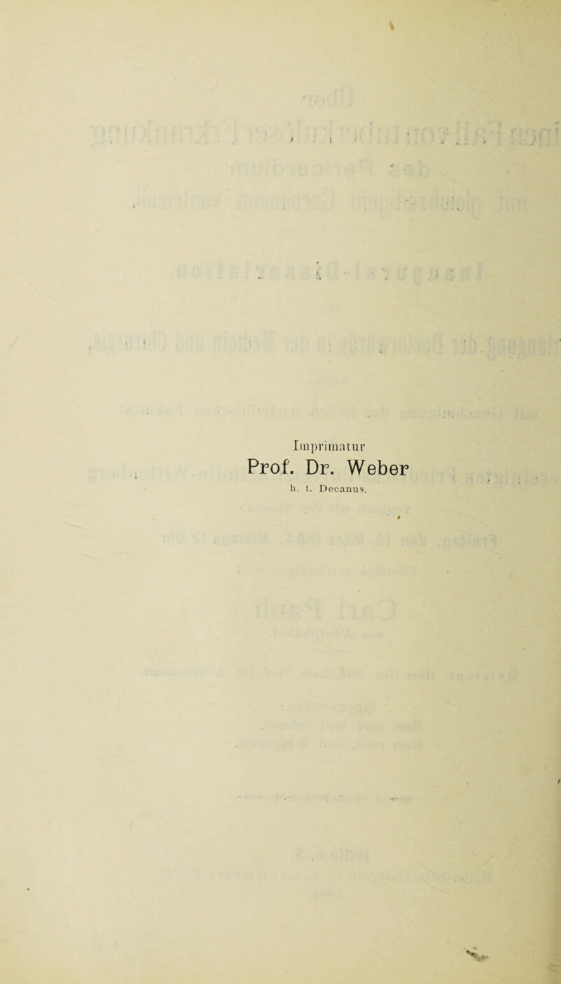 i Imprimatur Prof. Dr. Weber h. t. Decanus.