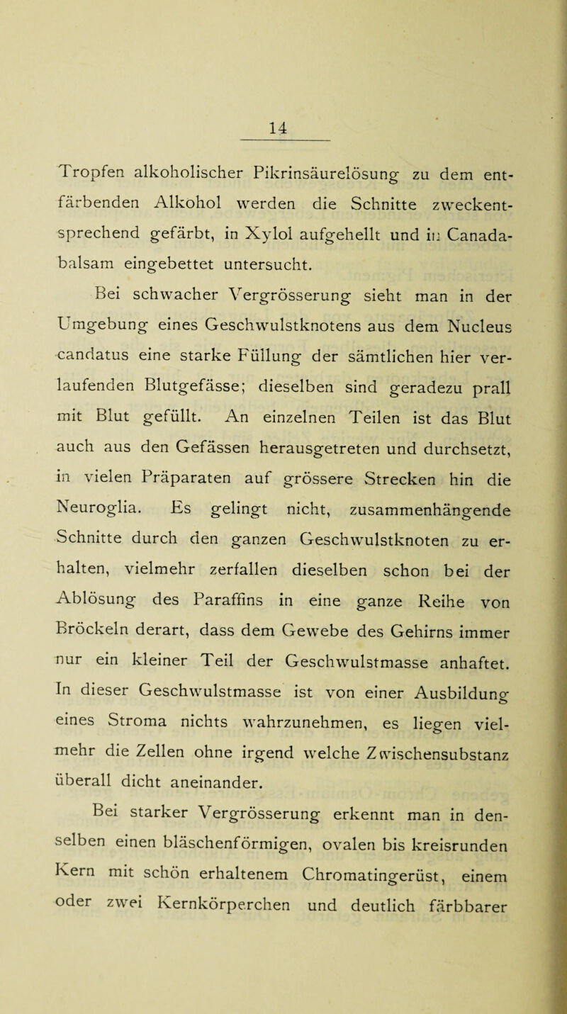 Tropfen alkoholischer Pikrinsäurelösung zu dem ent¬ färbenden Alkohol werden die Schnitte zweckent¬ sprechend gefärbt, in Xylol aufgehellt und in Canada- balsam eingebettet untersucht. Bei schwacher Vergrösserung sieht man in der Umgebung eines Geschwulstknotens aus dem Nucleus candatus eine starke Füllung der sämtlichen hier ver¬ laufenden Blutgefässe; dieselben sind geradezu prall mit Blut gefüllt. An einzelnen Teilen ist das Blut auch aus den Gefässen herausgetreten und durchsetzt, in vielen Präparaten auf grössere Strecken hin die Neuroglia. Es gelingt nicht, zusammenhängende Schnitte durch den ganzen Geschwulstknoten zu er¬ halten, vielmehr zerfallen dieselben schon bei der Ablösung des Paraffins in eine ganze Reihe von Bröckeln derart, dass dem Gewebe des Gehirns immer nur ein kleiner Teil der Geschwulstmasse anhaftet. In dieser Geschwulstmasse ist von einer Ausbildung eines Stroma nichts wahrzunehmen, es liegen viel¬ mehr die Zellen ohne irgend welche Zwischensubstanz überall dicht aneinander. Bei starker Vergrösserung erkennt man in den¬ selben einen bläschenförmigen, ovalen bis kreisrunden Kern mit schön erhaltenem Chromatingerüst, einem oder zwei Kernkörperchen und deutlich färbbarer