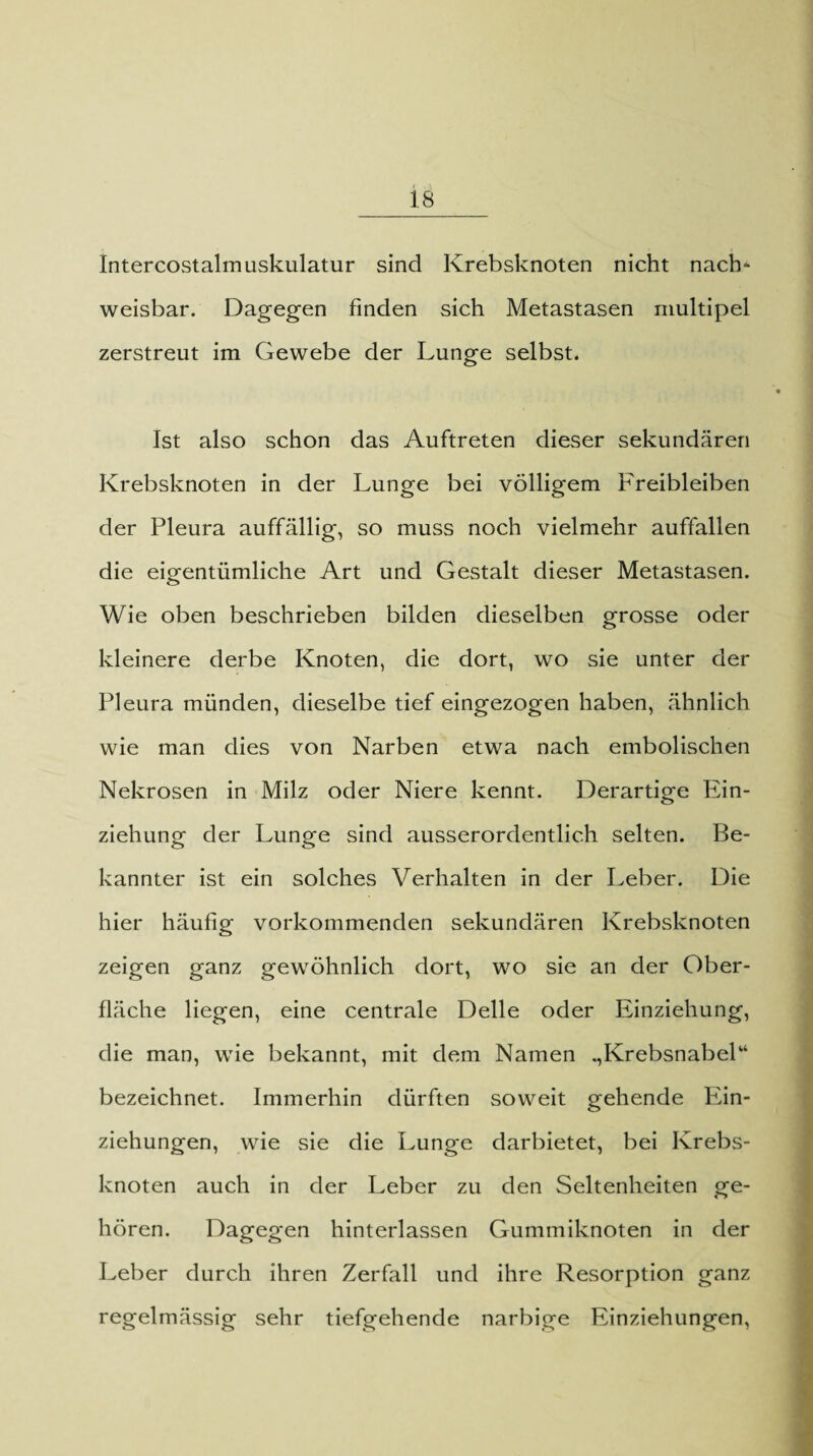 Intercostalmuskulatur sind Krebsknoten nicht nach* weisbar. Dagegen finden sich Metastasen multipel zerstreut im Gewebe der Lunge selbst. Ist also schon das Auftreten dieser sekundären Krebsknoten in der Lunge bei völligem Freibleiben der Pleura auffällig, so muss noch vielmehr auffallen die eigentümliche Art und Gestalt dieser Metastasen. Wie oben beschrieben bilden dieselben grosse oder- kleinere derbe Knoten, die dort, wo sie unter der Pleura münden, dieselbe tief eingezogen haben, ähnlich wie man dies von Narben etwa nach embolischen Nekrosen in Milz oder Niere kennt. Derartige Ein¬ ziehung der Lunge sind ausserordentlich selten. Be¬ kannter ist ein solches Verhalten in der Leber. Die hier häufig vorkommenden sekundären Krebsknoten zeigen ganz gewöhnlich dort, wo sie an der Ober¬ fläche liegen, eine centrale Delle oder Einziehung, die man, wie bekannt, mit dem Namen .,Krebsnabelu bezeichnet. Immerhin dürften soweit gehende Ein¬ ziehungen, wie sie die Lunge darbietet, bei Krebs¬ knoten auch in der Leber zu den Seltenheiten ge¬ hören. Dagegen hinterlassen Gummiknoten in der Leber durch ihren Zerfall und ihre Resorption ganz regelmässig sehr tiefgehende narbige Einziehungen,