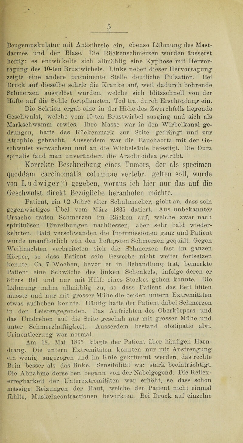 Beugemuskulatur mit Anästhesie ein, ebenso Lähmung des Mast¬ darmes und der Blase. Die Rückenschmerzen wurden äusserst heftig; es entwickelte sich allmählig eine Kyphose mit Hervor- ragung des 10-ten Brustwirbels. Links neben dieser Hervorragung zeigte eine andere prominente Stelle deutliche Pulsation. Bei Druck auf dieselbe schrie die Kranke auf, weil dadurch bohrende Schmerzen ausgelöst wurden, welche sich blitzschnell von der Hüfte auf die Sohle fortpflanzten. Tod trat durch Erschöpfung ein. Die Sektion ergab eine in der Höhe des Zwerchfells liegende Geschwulst, welche vom 10-ten Brustwirbel ausging und sich als Markschwamm erwies. Ihre Masse war in den Wirbelkanal ge¬ drungen, hatte das Rückenmark zur Seite gedrängt und zur Atrophie gebracht. Ausserdem war die Bauchaorta mit der Ge¬ schwulst verwachsen und an die Wirbelsäule befestigt. Die Dura spinalis fand man unverändert, die Arachnoidea getrübt. Korrekte Beschreibung eines Tumors, der als specimen quoddam carcinomatis columnae vertebr. gelten soll, wurde von Ludwiger9) gegeben, woraus ich hier nur das auf die Geschwulst direkt Bezügliche heranholen möchte. Patient, ein 62 Jahre alter Schuhmacher, giebt an, dass sein gegenwärtiges Übel vom März 1865 datiert. Aus unbekannter Ursache traten Schmerzen im Rücken auf, welche zwar nach spirituösen Einreibungen nachliessen, aber sehr bald wieder¬ kehrten. Bald verschwanden die Intermissionen ganz und Patient wurde unaufhörlich von den heftigsten Schmerzen gequält. Gegen Weihnachten verbreiteten sich die Sbhmerzen fast im ganzen Körper, so dass Patient sein Gewerbe nicht weiter fortsetzen konnte. Ca. 7 Wochen, bevor er in Behandlung trat, bemerkte Patient eine Schwäche des linken Schenkels, infolge deren er öfters fiel und nur mit Hülfe eines Stockes gehen konnte. Die Lähmung nahm allmählig zu, so dass Patient das Bett hüten musste und nur mit grosser Mühe die beiden untern Extremitäten etwas aufheben konnte. Häufig hatte der Patient dabei Schmerzen in den Leistengegenden. Das Aufrichten des Oberkörpers und das Umdrehen auf die Seite geschah nur mit grosser Mühe und unter Schmerzhaftigkeit. Ausserdem bestand obstipatio alvi, Urinentleerung war normal. Am 18. Mai 1865 klagte der Patient über häufigen Harn¬ drang. Die untern Extremitäten konnten nur mit Anstrengung ein wenig angezogen und im Knie gekrümmt werden, das rechte Bein besser als das linke. Sensibilität war stark beeinträchtigt. Die Abnahme derselben begann von der Nabelgegend. Die Reflex¬ erregbarkeit der Unterextremitäten war erhöht, so dass schon mässige Reizungen der Haut, welche der Patient nicht einmal fühlte, Muskelncontractionen bewirkten. Bei Druck auf einzelne