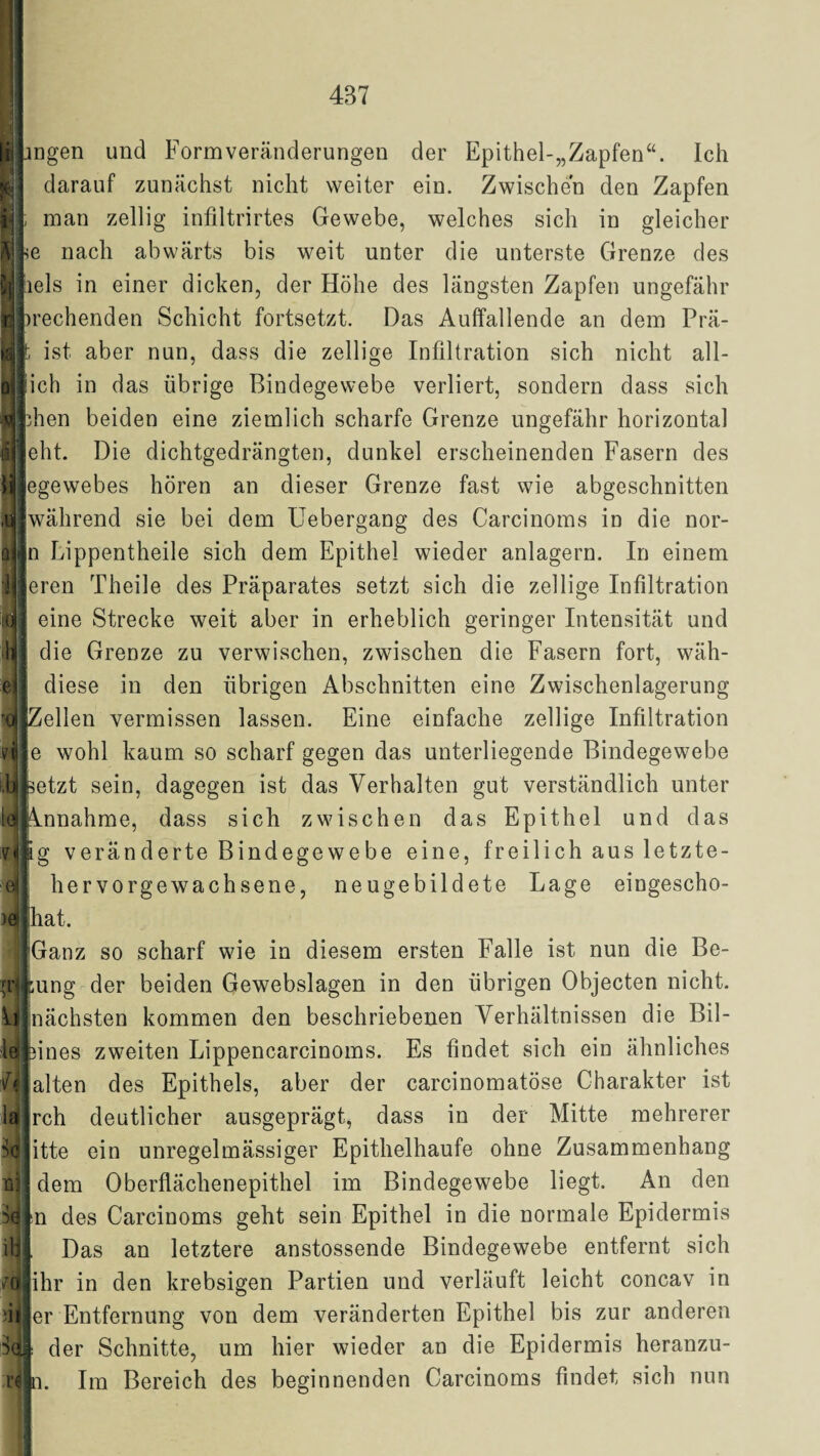 ,u II ingen und Form Veränderungen der Epithel-„Zapfen“. Ich darauf zunächst nicht weiter ein. Zwischen den Zapfen ; man zeitig infiltrirtes Gewebe, welches sich in gleicher <e nach abwärts bis weit unter die unterste Grenze des liels in einer dicken, der Höhe des längsten Zapfen ungefähr irechenden Schicht fortsetzt. Das Auffallende an dem Prä- t ist aber nun, dass die zellige Infiltration sich nicht all- iich in das übrige Bindegewebe verliert, sondern dass sich dien beiden eine ziemlich scharfe Grenze ungefähr horizontal eht. Die dichtgedrängten, dunkel erscheinenden Fasern des egewebes hören an dieser Grenze fast wie abgeschnitten während sie bei dem Uebergang des Carcinoms in die nor- n Lippentheile sich dem Epithel wieder anlagern. In einem ereil Theile des Präparates setzt sich die zellige Infiltration eine Strecke weit aber in erheblich geringer Intensität und die Grenze zu verwischen, zwischen die Fasern fort, wäh- diese in den übrigen Abschnitten eine Zwischenlagerung [Zellen vermissen lassen. Eine einfache zellige Infiltration e wohl kaum so scharf gegen das unterliegende Bindegewebe fcetzt sein, dagegen ist das Verhalten gut verständlich unter ilHhknnahme, dass sich zwischen das Epithel und das v«i Ig veränderte Bindegewebe eine, freilich aus letzte- hervorgewachsene, neugebildete Lage eingescho- hat. Ganz so scharf wie in diesem ersten Falle ist nun die Be- »rjfcung der beiden Gewebslagen in den übrigen Objecten nicht. I nächsten kommen den beschriebenen Verhältnissen die Bil- ft la Sc rü 3N ib 11 mies zweiten Lippencarcinoms. Es findet sich ein ähnliches alten des Epithels, aber der carcinomatöse Charakter ist rch deutlicher ausgeprägt, dass in der Mitte mehrerer itte ein unregelmässiger Epithelhaufe ohne Zusammenhang dem Oberflächenepithel im Bindegewebe liegt. An den n des Carcinoms geht sein Epithel in die normale Epidermis Das an letztere anstossende Bindegewebe entfernt sich ihr in den krebsigen Partien und verläuft leicht concav in er Entfernung von dem veränderten Epithel bis zur anderen der Schnitte, um hier wieder au die Epidermis heranzu- rfln. Im Bereich des beginnenden Carcinoms findet sich nun