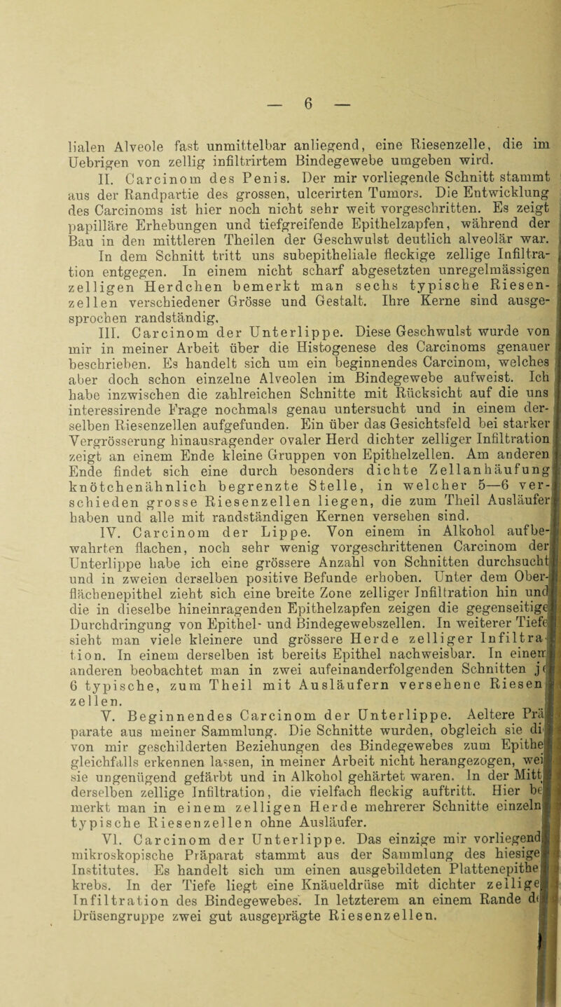 lialen Alveole fast unmittelbar anliegend, eine Riesenzelle, die im Uebrigen von zellig infiltrirtem Bindegewebe umgeben wird. II. Carcinom des Penis. Der mir vorliegende Schnitt stammt aus der Randpartie des grossen, ulcerirten Tumors. Die Entwicklung des Carcinoms ist hier noch nicht sehr weit vorgeschritten. Es zeigt papilläre Erhebungen und tiefgreifende Epithelzapfen, während der Bau in den mittleren Theilen der Geschwulst deutlich alveolär war. In dem Schnitt tritt uns subepitheliale fleckige zellige Infiltra- , tion entgegen. In einem nicht scharf abgesetzten unregelmässigen zelligen Herdchen bemerkt man sechs typische Riesen¬ zellen verschiedener Grösse und Gestalt. Ihre Kerne sind ausge¬ sprochen randständig, III. Carcinom der Unterlippe. Diese Geschwulst wurde von mir in meiner Arbeit über die Histogenese des Carcinoms genauer beschrieben. Es handelt sich um ein beginnendes Carcinom, welches aber doch schon einzelne Alveolen im Bindegewebe aufweist. Ich habe inzwischen die zahlreichen Schnitte mit Rücksicht auf die uns 1 interessirende Frage nochmals genau untersucht und in einem der- | selben Riesenzellen aufgefunden. Ein über das Gesichtsfeld bei starker I Vergrösserung hinausragender ovaler Herd dichter zelliger Infiltration i zeigt an einem Ende kleine Gruppen von Epithelzellen. Am anderen | Ende findet sich eine durch besonders dichte Zellanhäufungi knötchenähnlich begrenzte Stelle, in welcher 5—6 ver-j schieden grosse Riesenzellen liegen, die zum Theil Ausläufer!« haben und alle mit randständigen Kernen versehen sind. IV. Carcinom der Lippe. Von einem in Alkohol aufbe-i wahrten flachen, noch sehr wenig vorgeschrittenen Carcinom der* Unterlippe habe ich eine grössere Anzahl von Schnitten durchsucht!! und in zweien derselben positive Befunde erhoben. Unter dem Ober- ft flächenepithel zieht sich eine breite Zone zelliger Infiltration hin und! die in dieselbe hineinragenden Epithelzapfen zeigen die gegenseitige» Durchdringung von Epithel- und Bindegewebszellen. In weiterer Tiefei sieht man viele kleinere und grössere Herde zelliger Infiltra t tion. In einem derselben ist bereits Epithel nachweisbar. In eineirlj anderen beobachtet man in zwei aufeinanderfolgenden Schnitten j(jf 6 typische, zum Theil mit Ausläufern versehene Riesen! zellen. fl V. Beginnendes Carcinom der Unterlippe. Aeltere Prä* parate aus meiner Sammlung. Die Schnitte wurden, obgleich sie di« von mir geschilderten Beziehungen des Bindegewebes zum Epithel gleichfalls erkennen lassen, in meiner Arbeit nicht herangezogen, weil sie ungenügend gefärbt und in Alkohol gehärtet waren. In der Mittl derselben zellige Infiltration, die vielfach fleckig auftritt. Hier bei merkt man in einem zelligen Herde mehrerer Schnitte einzeln» typische Riesenzellen ohne Ausläufer. VI. Carcinom der Unterlippe. Das einzige mir vorliegend! mikroskopische Präparat stammt aus der Sammlung des hiesige* ! Institutes. Es handelt sich um einen ausgebildeten Plattenepithel krebs. In der Tiefe liegt eine Knäueldrüse mit dichter zeilige|; Infiltration des Bindegewebes'. In letzterem an einem Rande dt Drüsengruppe zwei gut ausgeprägte Riesenzellen.