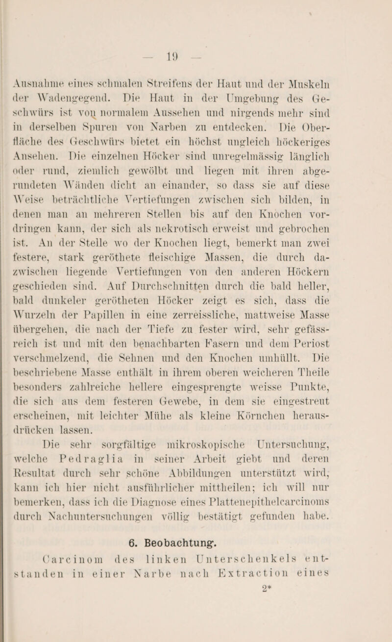 Ausnahme eines schmalen Streitens der Haut und der Muskeln der Wadengegend. Die Haut in der Umgebung des Ge¬ schwürs ist von normalem Aussehen und nirgends mehr sind in derselben Spuren von Narben zu entdecken. Die Ober¬ fläche des Geschwürs bietet ein höchst ungleich höckeriges Ansehen. Die einzelnen Höcker sind unregelmässig länglich oder rund, ziemlich gewölbt und liegen mit ihren abge¬ rundeten Wänden dicht an einander, so dass sie auf diese Weise beträchtliche Vertiefungen zwischen sich bilden, in denen man an mehreren Stellen bis auf den Knochen Vor¬ dringen kann, der sich als nekrotisch erweist und gebrochen \ ist. An der Stelle wo der Knochen liegt, bemerkt man zwei festere, stark geröthete fleischige Massen, die durch da¬ zwischen liegende Vertiefungen von den anderen Höckern geschieden sind. Auf Durchschnitten durch die bald heller, bald dunkeier gerötheten Höcker zeigt es sich, dass die Wurzeln der Papillen in eine zerreissliche, mattweise Masse übergehen, die nach der Tiefe zu fester wird, sehr gefäss- reich ist und mit den benachbarten Fasern und dem Periost verschmelzend, die Sehnen und den Knochen umhüllt. Die beschriebene .Masse enthält in ihrem oberen weicheren Theile besonders zahlreiche hellere eingesprengte weisse Punkte, die sich aus dem festeren Gewebe, in dem sie eingestreut erscheinen, mit leichter Mühe als kleine Körnchen heraus¬ drücken lassen. Die sehr sorgfältige mikroskopische Untersuchung, welche P e d r a g 1 i a in seiner Arbeit giebt und deren Resultat durch sehr schöne Abbildungen unterstützt wird, kann ich hier nicht ausführlicher mittheilen; ich will nur bemerken, dass ich die Diagnose eines Plattenepithelcarcinoms durch Nachuntersuchungen völlig bestätigt gefunden habe. 6. Beobachtung. Carcinom des linken Unterschenkels ent- s tan den in einer Narbe nach Extraction eines 2*