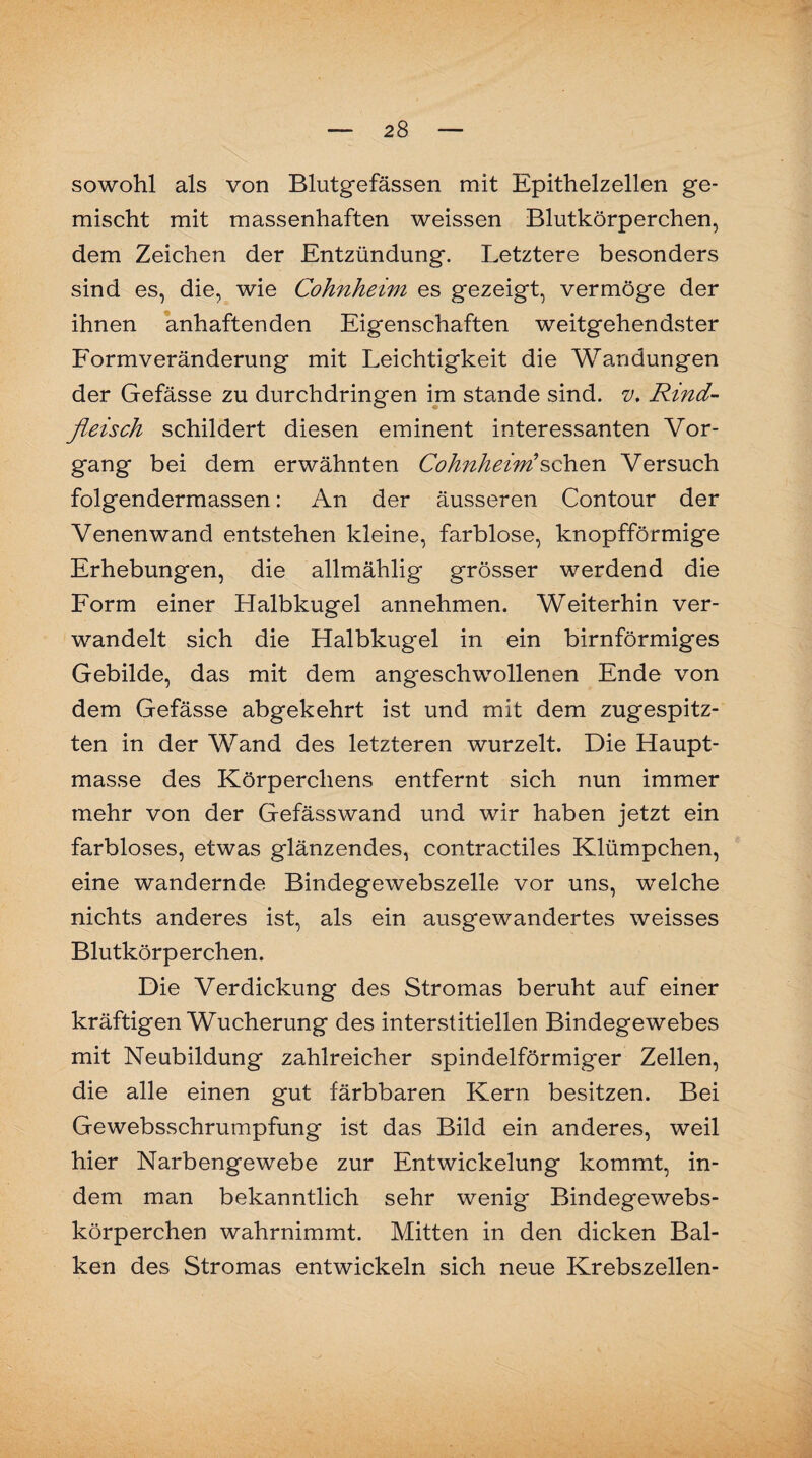 sowohl als von Blutgefässen mit Epithelzellen ge¬ mischt mit massenhaften weissen Blutkörperchen, dem Zeichen der Entzündung. Letztere besonders sind es, die, wie Cohnheim es gezeigt, vermöge der ihnen anhaftenden Eigenschaften weitgehendster Formveränderung mit Leichtigkeit die Wandungen der Gefässe zu durchdringen im stände sind. v. Rind¬ fleisch schildert diesen eminent interessanten Vor¬ gang bei dem erwähnten Cohnhein?sehen Versuch folgendermassen: An der äusseren Contour der Venenwand entstehen kleine, farblose, knopfförmige Erhebungen, die allmählig grösser werdend die Form einer Halbkugel annehmen. Weiterhin ver¬ wandelt sich die Halbkugel in ein bimförmiges Gebilde, das mit dem angeschwollenen Ende von dem Gefässe abgekehrt ist und mit dem zugespitz¬ ten in der Wand des letzteren wurzelt. Die Haupt¬ masse des Körperchens entfernt sich nun immer mehr von der Gefässwand und wir haben jetzt ein farbloses, etwas glänzendes, contractiles Klümpchen, eine wandernde Bindegewebszelle vor uns, welche nichts anderes ist, als ein ausgewandertes weisses Blutkörperchen. Die Verdickung des Stromas beruht auf einer kräftigen Wucherung des interstitiellen Bindegewebes mit Neubildung zahlreicher spindelförmiger Zellen, die alle einen gut färbbaren Kern besitzen. Bei Gewebsschrumpfung ist das Bild ein anderes, weil hier Narbengewebe zur Entwickelung kommt, in¬ dem man bekanntlich sehr wenig Bindegewebs- körperchen wahrnimmt. Mitten in den dicken Bal¬ ken des Stromas entwickeln sich neue Krebszellen-