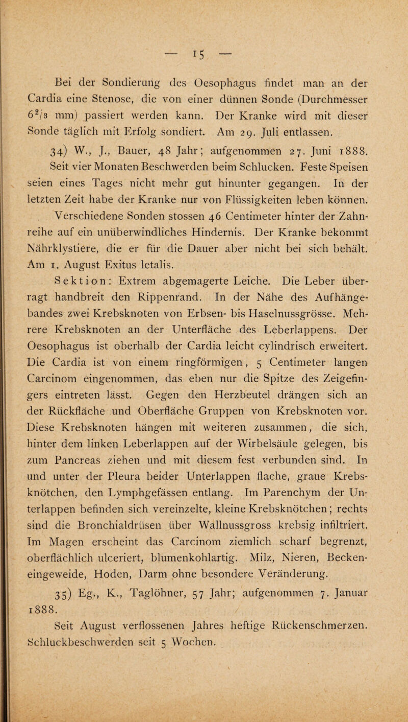Bei der Sondierung des Oesophagus findet man an der Cardia eine Stenose, die von einer dünnen Sonde (Durchmesser 6^/3 mm) passiert werden kann. Der Kranke wird mit dieser Sonde täglich mit Erfolg sondiert. Am 29. Juli entlassen. 34) W., J., Bauer, 48 Jahr; aufgenommen 27. Juni 1888. Seit vier Monaten Beschwerden beim Schlucken. Feste Speisen seien eines Tages nicht mehr gut hinunter gegangen. In der letzten Zeit habe der Kranke nur von Flüssigkeiten leben können. Verschiedene Sonden stossen 46 Centimeter hinter der Zahn¬ reihe auf ein unüberwindliches Hindernis. Der Kranke bekommt Nährklystiere, die er für die Dauer aber nicht bei sich behält. Am I. August Exitus letalis. Sektion: Extrem abgemagerte Leiche. Die Leber über¬ ragt handbreit den Rippenrand. In der Nähe des Aufhänge¬ bandes zwei Krebsknoten von Erbsen- bis Haselnussgrösse. Meh¬ rere Krebsknoten an der Unterfläche des Leberlappens. Der Oesophagus ist oberhalb der Cardia leicht cylindrisch erweitert. Die Cardia ist von einem ringförmigen, 5 Centimeter langen Carcinom eingenommen, das eben nur die Spitze des Zeigefin¬ gers eintreten lässt. Gegen den Herzbeutel drängen sich an der Rückfläche und Oberfläche Gruppen von Krebsknoten vor. Diese Krebsknoten hängen mit weiteren zusammen, die sich, hinter dem linken Leberlappen auf der Wirbelsäule gelegen, bis zum Pancreas ziehen und mit diesem fest verbunden sind. In und unter der Pleura beider Unterlappen flache, graue Krebs¬ knötchen, den Lymphgefässen entlang. Im Parenchym der Un¬ terlappen befinden sich vereinzelte, kleine Krebsknötchen; rechts sind die Bronchialdrüsen über Wallnussgross krebsig infiltriert. Im Magen erscheint das Carcinom ziemlich scharf begrenzt, oberflächlich ulcerierb blumenkohlartig. Milz, Nieren, Becken¬ eingeweide, Hoden, Darm ohne besondere Veränderung. 35) Eg., K., Taglöhner, 57 Jahr; aufgenommen 7. Januar 1888. Seit August verflossenen Jahres heftige Rückenschmerzen. Schluckbeschwerden seit 5 Wochen.