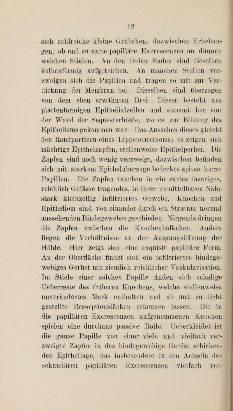 sich zahlreiche kleine Grübchen, dazwischen Erhebun¬ gen, ab und zu zarte papilläre Excrescenzen an dünnen weichen Stielen. An den freien Enden sind dieselben kolbenförmig aufgetrieben. An manchen Stellen ver¬ zweigen sich die Papillen und tragen so mit zur Ver¬ dickung der Membran bei. Dieselben sind überzogen von dem eben erwähnten Brei. Dieser besteht aus plattenförmigen Epithelialzellen und stammt her von der Wand der Sequesterhöhle, wo es zur Bildung des Epithelioms gekommen war. Das Aussehen dieses gleicht den Eandpartieen eines Lippencareinoms: es zeigen sich mächtige Epithelzapfen, stellenweise Epithelperlen. Die Zapfen sind noch wenig verzweigt, dazwischen befinden sich mit starkem Epithelüberzuge bedeckte spitze kurze Papillen. Die Zapfen tauchen in ein zartes faseriges, reichlich Gefässe tragendes, in ihrer unmittelbaren Nähe stark kleinzellig infiltriertes Gewebe. Knochen und Epitheliom sind von einander durch ein Stratum normal aussehenden Bindegewebes geschieden. Nirgends dringen die Zapfen zwischen die Knoclienbälkchen. Anders liegen die Verhältnisse an der Ausgangsöffnung der Höhle. Hier zeigt sich eine exquisit papilläre Form. An der Oberfläche findet sich ein infiltriertes bindege¬ webiges Gerüst mit ziemlich reichlicher Vaskularisation. Im Stiele einer solchen Papille finden sich schalige Ueberreste des früheren Knochens, welche stellenweise unverändertes Mark enthalten und ab und zu dicht gestellte Resorptionslücken erkennen lassen. Die in die papillären Excrescenzen aufgenommenen Knochen spielen eine durchaus passive Rolle. Ueberkleidet ist die ganze Papille von einer viele und vielfach ver¬ zweigte Zapfen in das bindegewebige Gerüst schicken¬ den Epithellage, das insbesondere in den Achseln der sekundären papillären Excrescenzen vielfach ver-