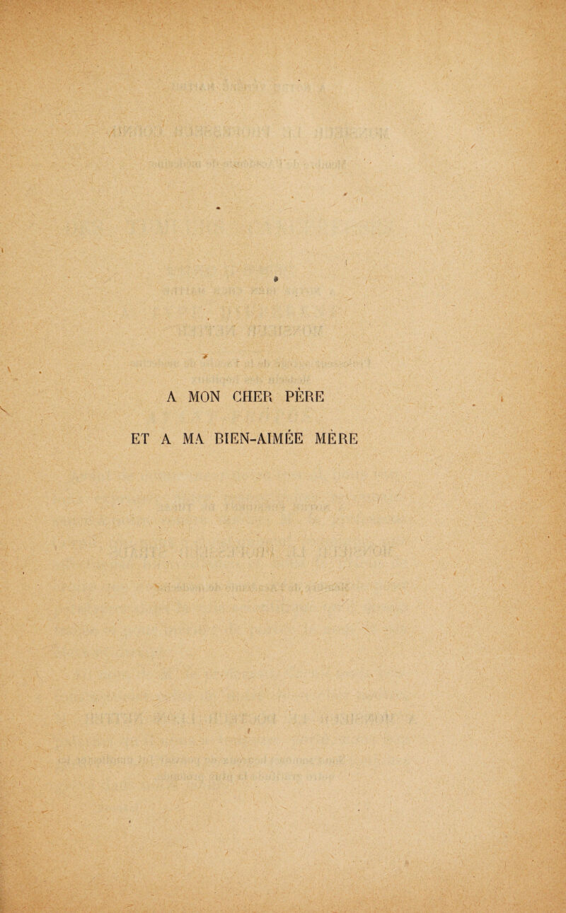 A MON CHER PÈRE ET A MA BIEN-AIMÉE MÈRE