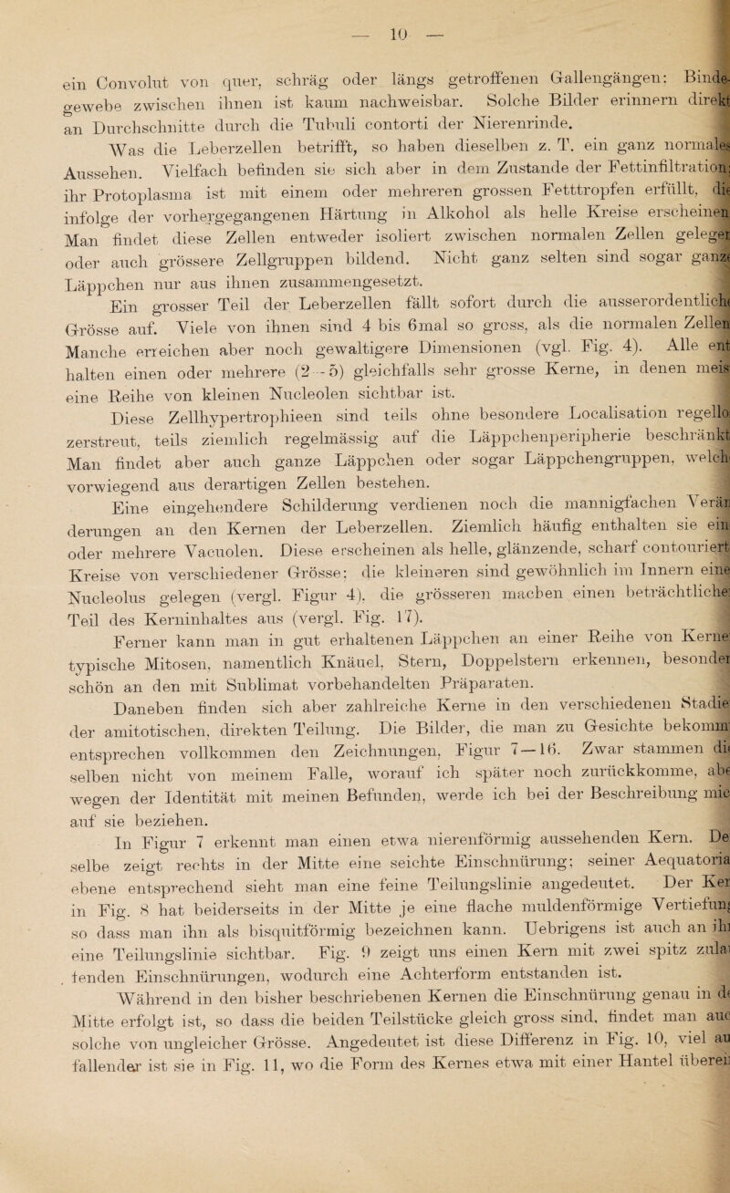 ein Convolut von quer, schräg oder längs getroffenen Gallengängen: Binde¬ gewebe zwischen ihnen ist kaum nachweisbar. Solche Bilder erinnern direkt an Durchschnitte durch die Tubuli contorti der Nierenrinde. Was die Leberzellen betrifft, so haben dieselben z. T. ein ganz normales Aussehen. Vielfach befinden sie sich aber in dem Zustande der Fettinfiltration: ihr Protoplasma ist mit einem oder mehreren grossen Fetttropfen erfüllt, die infolge der vorhergegangenen Härtung in Alkohol als helle Kreise erscheinen, Man findet diese Zellen entweder isoliert zwischen normalen Zellen geleger oder auch grössere Zellgruppen bildend. Nicht ganz selten sind sogar ganz* Läppchen nur aus ihnen zusammengesetzt. Ein grosser Teil der Leberzellen fällt sofort durch die ausserordentlich* Grösse auf. Viele von ihnen sind 4 bis 6mal so gross, als die normalen Zellen Manche erreichen aber noch gewaltigere Dimensionen (vgl. Fig. 4). Alle ent halten einen oder mehrere (2—5) gleichfalls sehr grosse Kerne, in denen meis' eine Reihe von kleinen Nucleolen sichtbar ist. Diese Zellhypertrophieen sind teils ohne besondere Localisation regelloi zerstreut, teils ziemlich regelmässig auf die Läppchenperipherie beschränkt Man findet aber auch ganze Läppchen oder sogar Läppchengruppen, welch vorwiegend aus derartigen Zellen bestehen. Eine eingehendere Schilderung verdienen noch die mannigfachen Verär derungen an den Kernen der Leberzellen. Ziemlich häufig enthalten sie ein oder mehrere Vacuolen. Diese erscheinen als helle, glänzende, scharf contouriert Kreise von verschiedener Grösse; die kleineren sind gewöhnlich im Innern eine Nucleolus gelegen (vergl. Figur 4), die grösseren machen einen beträchtliche: Teil des Kerninhaltes aus (vergl. Fig. 17). Ferner kann man in gut erhaltenen Läppchen an einer Reihe von Kerne: typische Mitosen, namentlich Knäuel, Stern, Doppelstern erkennen, besonder schön an den mit Sublimat vorbehandelten Präparaten. Daneben finden sich aber zahlreiche Kerne in den verschiedenen Stadie der amit.ofisehen, direkten Teilung. Die Bilder, die man zu Gesichte bekomm entsprechen vollkommen den Zeichnungen, Figur 7—16. Zwar stammen di* selben nicht von meinem Falle, worauf ich später noch zurückkomme, abe wegen der Identität mit meinen Befunden, werde ich bei der Beschreibung mie auf sie beziehen. In Figur 7 erkennt man einen etwa nierenförmig aussehenden Kern. De selbe zeigt rechts in der Mitte eine seichte Einschnürung; seiner Aequatoria ebene entsprechend sieht man eine feine Teilungslinie angedeutet. Der Ker in Fig. 8 hat beiderseits in der Mitte je eine flache muldenförmige Vertiefung so dass man ihn als bisquitförmig bezeichnen kann. Uebrigens ist auch an ih] eine Teilungslinie sichtbar. Fig. 9 zeigt uns einen Kern mit zwei spitz zulai fenden Einschnürungen, wodurch eine Achterform entstanden ist. Während in den bisher beschriebenen Kernen die Einschnürung genau in d* Mitte erfolgt ist, so dass die beiden Teilstücke gleich gross sind, findet man auc solche von ungleicher Grösse. Angedeutet ist diese Differenz in hig. 10, viel au fallender ist sie in Fig. 11, wo die Form des Kernes etwa mit einer Hantel übereil