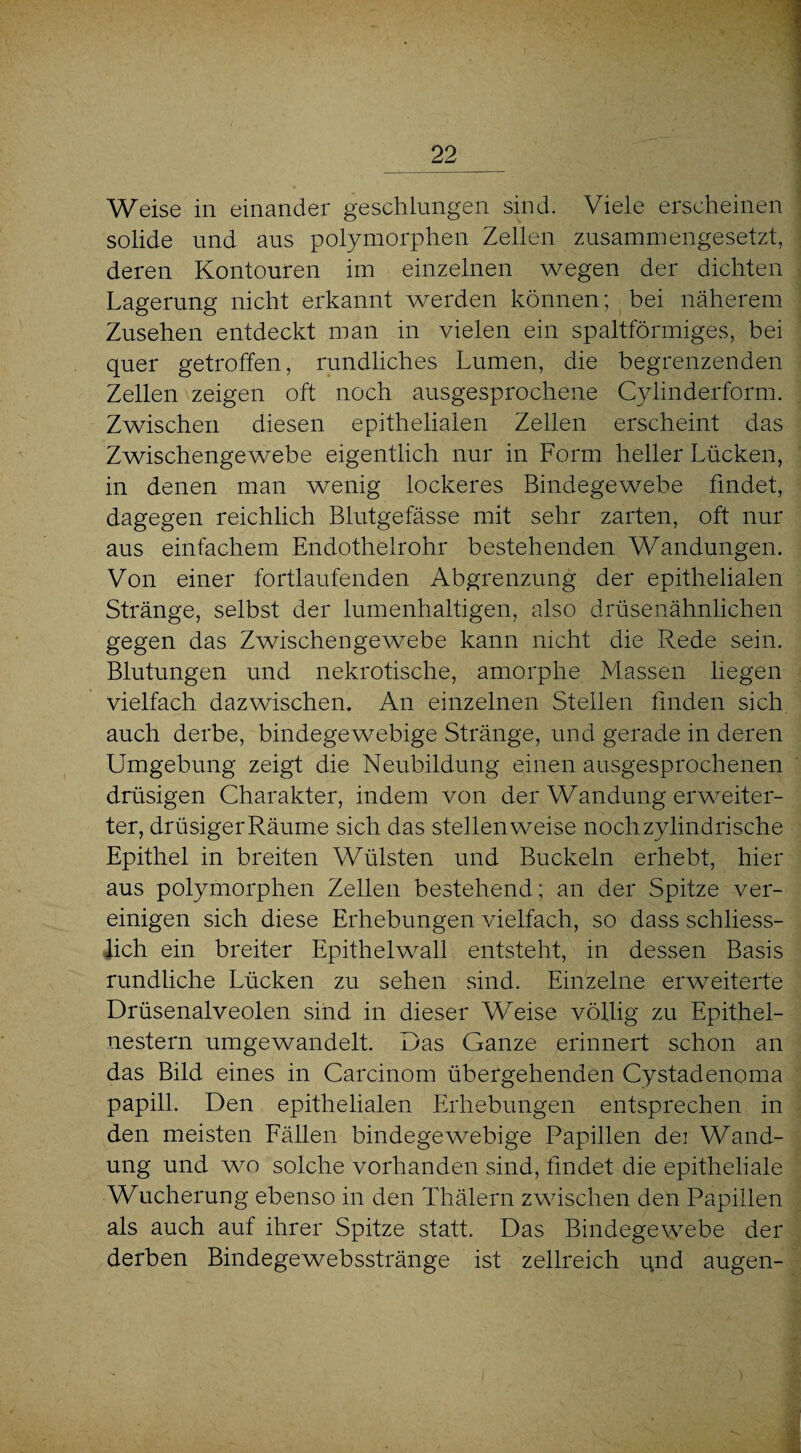 Weise in einander geschlungen sind. Viele erscheinen solide und aus polymorphen Zellen zusammengesetzt, deren Kontouren im einzelnen wegen der dichten Lagerung nicht erkannt werden können; bei näherem Zusehen entdeckt man in vielen ein spaltförmiges, bei quer getroffen, rundliches Lumen, die begrenzenden Zellen zeigen oft noch ausgesprochene Cylinderform. Zwischen diesen epithelialen Zellen erscheint das Zwischengewebe eigentlich nur in Form heller Lücken, in denen man wenig lockeres Bindegewebe findet, dagegen reichlich Blutgefässe mit sehr zarten, oft nur aus einfachem Endothelrohr bestehenden Wandungen. Von einer fortlaufenden Abgrenzung der epithelialen Stränge, selbst der lumenhaltigen, also drüsenähnlichen gegen das Zwischengewebe kann nicht die Rede sein. Blutungen und nekrotische, amorphe Massen liegen vielfach dazwischen. An einzelnen Stellen finden sich auch derbe, bindegewebige Stränge, und gerade in deren Umgebung zeigt die Neubildung einen ausgesprochenen drüsigen Charakter, indem von der Wandung erweiter¬ ter, drüsiger Räume sich das stellenweise noch zylindrische Epithel in breiten Wülsten und Buckeln erhebt, hier aus polymorphen Zellen bestehend; an der Spitze ver¬ einigen sich diese Erhebungen vielfach, so dass schliess¬ lich ein breiter Epithelwall entsteht, in dessen Basis rundliche Lücken zu sehen sind. Einzelne erweiterte Drüsenalveolen sind in dieser Weise völlig zu Epithel¬ nestern umgewandelt. Das Ganze erinnert schon an das Bild eines in Carcinom übergehenden Cystadenoma papill. Den epithelialen Erhebungen entsprechen in den meisten Fällen bindegewebige Papillen dei Wand¬ ung und wo solche vorhanden sind, findet die epitheliale Wucherung ebenso in den Thälern zwischen den Papillen als auch auf ihrer Spitze statt. Das Bindegewebe der derben Bindegewebsstränge ist zellreich und äugen-