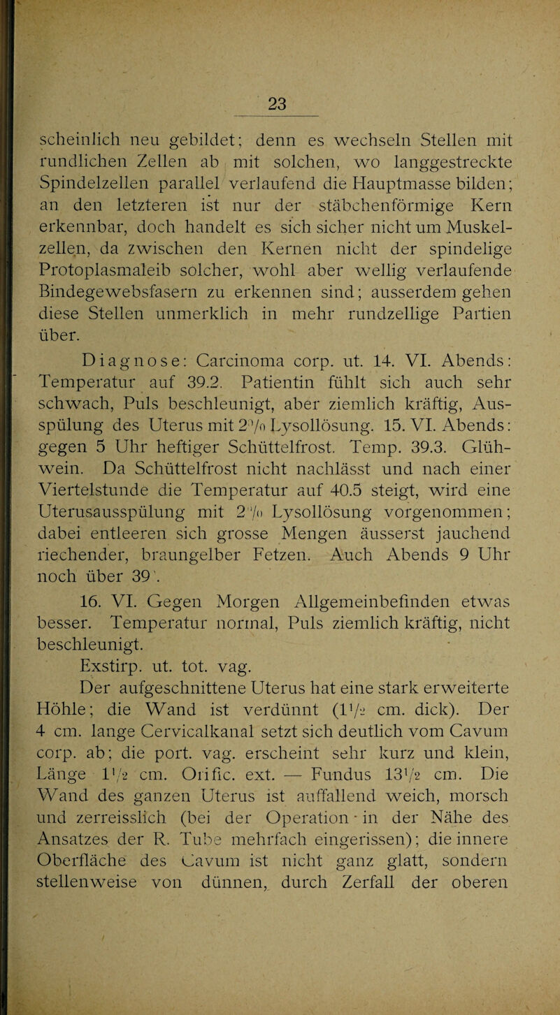 scheinlich neu gebildet; denn es wechseln Stellen mit rundlichen Zellen ab mit solchen, wo langgestreckte Spindelzellen parallel verlaufend die Hauptmasse bilden; an den letzteren ist nur der stäbchenförmige Kern erkennbar, doch handelt es sich sicher nicht um Muskel¬ zellen, da zwischen den Kernen nicht der spindelige Protoplasmaleib solcher, wohl aber wellig verlaufende Bindegewebsfasern zu erkennen sind; ausserdem gehen diese Stellen unmerklich in mehr rundzellige Partien über. Diagnose: Carcinoma corp. ut. 14. VI. Abends: Temperatur auf 39.2. Patientin fühlt sich auch sehr schwach, Puls beschleunigt, aber ziemlich kräftig, Aus¬ spülung des Uterus mit 2n/o Lysollösung. 15. VI. Abends: gegen 5 Uhr heftiger Schüttelfrost. Temp. 39.3. Glüh¬ wein. Da Schüttelfrost nicht nachlässt und nach einer Viertelstunde die Temperatur auf 40.5 steigt, wird eine Uterusausspülung mit 2'7<> Lysollösung vorgenommen; dabei entleeren sich grosse Mengen äusserst jauchend riechender, braungelber Fetzen. Auch Abends 9 Uhr noch über 39 '. 16. VI. Gegen Morgen Allgemeinbefinden etwas besser. Temperatur normal, Puls ziemlich kräftig, nicht beschleunigt. Exstirp. ut. tot. vag. Der aufgeschnittene Uterus hat eine stark erweiterte Höhle; die Wand ist verdünnt (U/h cm. dick). Der 4 cm. lange Cervicalkanal setzt sich deutlich vom Cavum corp. ab; die port. vag. erscheint sehr kurz und klein, Länge U/h cm. Oiific. ext. — Fundus lSfh cm. Die Wand des ganzen Uterus ist auffallend weich, morsch und zerreisslich (bei der Operation * in der Nähe des Ansatzes der R. Tube mehrfach eingerissen); die innere Oberfläche des Cavum ist nicht ganz glatt, sondern stellenweise von dünnen, durch Zerfall der oberen