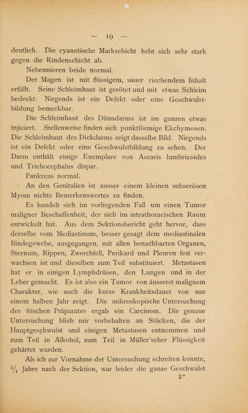 deutlich. Die cyanotische Markschicht hebt sich sehr stark gegen die Rindenschicht ab. Nebennieren beide normal. Der Magen ist mit flüssigem, sauer riechendem Inhalt erfüllt. Seine Schleimhaut ist gerötet und mit etwas Schleim bedeckt. Nirgends ist ein Defekt oder eine Geschwulst¬ bildung bemerkbar. Die Schleimhaut des Dünndarms ist im ganzen etwas injiciert. Stellenweise finden sich punktförmige Ekchymosen. Die Schleimhaut des Dickdarms zeigt dasselbe Bild. Nirgends ist ein Defekt oder eine Geschwulstbildung zu sehen. Der Darm enthält einige Exemplare von Ascaris lumbricoides und Trichocephalus dispar. Pankreas normal. An den Genitalien ist ausser einem kleinen subserösen Myom nichts Bemerkenswertes zu finden. Es handelt sich im vorliegenden Fall um einen Tumor maligner Beschaffenheit, der sich im intrathoracischen Raum entwickelt hat. Aus dem Sektionsbericht geht hervor, dass derselbe vom Mediastinum, besser gesagt dem mediastinalen Bindegewebe, ausgegangen, mit allen benachbarten Organen, Sternum, Rippen, Zwerchfell, Perikard und Pleuren fest ver¬ wachsen ist und dieselben zum Teil substituiert. Metastasen hat er in einigen Lymphdrüsen, den Lungen und in der Leber gemacht. Es ist also ein Tumor von äusserst malignem Charakter, wie auch die kurze Krankheitsdauer von nur einem halben Jahr zeigt. Die mikroskopische Untersuchung des frischen Präparates ergab ein Carcinom. Die genaue Untersuchung blieb mir Vorbehalten an Stücken, die der Hauptgeschwulst und einigen Metastasen entnommen und zum Teil in Alkohol, zum Teil in Müller’scher Flüssigkeit gehärtet wurden. Als ich zur Vornahme der Untersuchung schreiten konnte, 5/4 Jahre nach der Sektion, war leider die ganze Geschwulst 2*