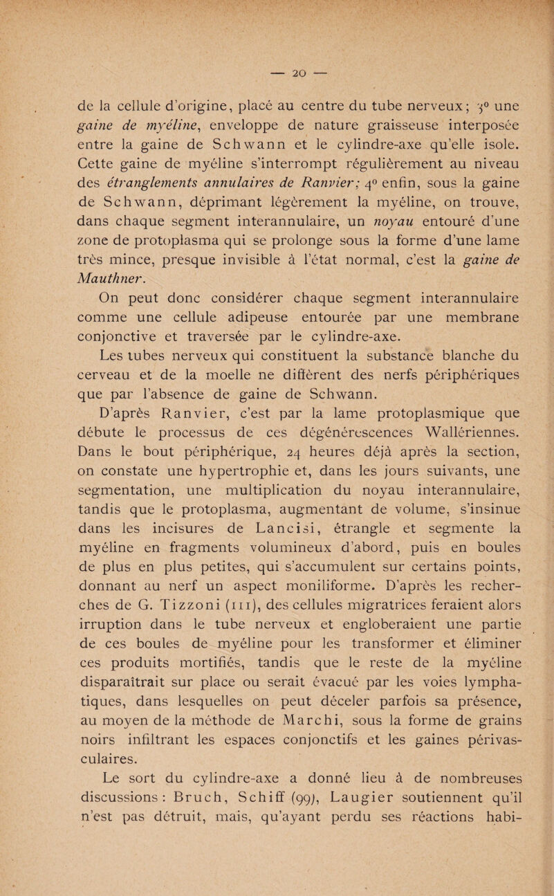 de la cellule d’origine, placé au centre du tube nerveux; 'j° une gaine de myéline, enveloppe de nature graisseuse interposée entre la gaine de Schwann et le cylindre-axe qu’elle isole. Cette gaine de myéline s’interrompt régulièrement au niveau des étranglements annulaires de Ranvier; 40 enfin, sous la gaine de Schwann, déprimant légèrement la myéline, on trouve, dans chaque segment interannulaire, un noyau entouré d’une zone de protoplasma qui se prolonge sous la forme d’une lame très mince, presque invisible à letat normal, c’est la gaine de Mauthner. On peut donc considérer chaque segment interannulaire comme une cellule adipeuse entourée par une membrane conjonctive et traversée par le cylindre-axe. Les tubes nerveux qui constituent la substance blanche du cerveau et de la moelle ne diffèrent des nerfs périphériques que par l’absence de gaine de Schwann. D’après Ranvier, c’est par la lame protoplasmique que débute le processus de ces dégénérescences Wallériennes. Dans le bout périphérique, 24 heures déjà après la section, on constate une hypertrophie et, dans les jours suivants, une segmentation, une multiplication du noyau interannulaire, tandis que le protoplasma, augmentant de volume, s’insinue dans les incisures de Lancisi, étrangle et segmente la myéline en fragments volumineux d’abord, puis en boules de plus en plus petites, qui s’accumulent sur certains points, donnant au nerf un aspect moniliforme. D’après les recher¬ ches de G. Tizzoni (m), des cellules migratrices feraient alors irruption dans le tube nerveux et engloberaient une partie de ces boules de myéline pour les transformer et éliminer ces produits mortifiés, tandis que le reste de la myéline disparaîtrait sur place ou serait évacué par les voies lympha¬ tiques, dans lesquelles on peut déceler parfois sa présence, au moyen de la méthode de Marc h i, sous la forme de grains noirs infiltrant les espaces conjonctifs et les gaines périvas¬ culaires. Le sort du cylindre-axe a donné lieu à de nombreuses discussions: Bruch, Schiff (99;, Laugier soutiennent qu’il n’est pas détruit, mais, qu’ayant perdu ses réactions habi-