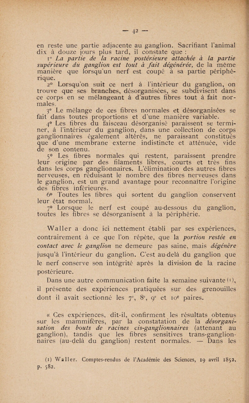 en reste une partie adjacente au ganglion. Sacrifiant l’animal dix à douze jours plus tard, il constate que : i° La partie de la racine postérieure attachée à la partie supérieure du ganglion est tout à fait dégénérée3 de la même manière que lorsqu’un nerf est coupé à sa partie périphé¬ rique. 20 Lorsqu’on suit ce nerf à l’intérieur du ganglion, on trouve que ses branches, désorganisées, se subdivisent dans ce corps en se mélangeant à d’autres fibres tout à fait nor¬ males. 3° Le mélange de ces fibres normales et désorganisées se fait dans toutes proportions et d’une manière variable. 4° Les fibres du faisceau désorganisé paraissent se termi¬ ner, à l’intérieur du ganglion, dans une collection de corps ganglionnaires également altérés, ne paraissant constitués que d’une membrane externe indistincte et atténuée, vide de son contenu. 5° Les fibres normales qui restent, paraissent prendre leur origine par des filaments libres, courts et très fins dans les corps ganglionnaires. L’élimination des autres fibres nerveuses, en réduisant le nombre des fibres nerveuses dans le ganglion, est un grand avantage pour reconnaître l’origine des fibres inférieures. 6° Toutes les fibres qui sortent du ganglion conservent leur état normal. 7° Lorsque le nerf est coupé au-dessous du ganglion, toutes les fibres se désorganisent à la périphérie. Waller a donc ici nettement établi par ses expériences, contrairement à ce que l’on répète, que la portion restée en contact avec le ganglion ne demeure pas saine, mais dégénère jusqu’à l’intérieur du ganglion. C’est au-delà du ganglion que le nerf conserve son intégrité après la division de la racine postérieure. Dans une autre communication faite la semaine suivante (0, il présente des expériences pratiquées sur des grenouilles dont il avait sectionné les 7% 8e, 9e et 10e paires. « Ces expériences, dit-il, confirment les résultats obtenus sur les mammifères, par la constatation de la désorgani¬ sation des bouts de racines cis-ganglionnaires (attenant au ganglion), tandis que les fibres sensitives trans-ganglion- naires (au-delà du ganglion) restent normales. — Dans les (1) Waller. Comptes-rendus de l’Académie des Sciences, 19 avril 1852, p. 582.