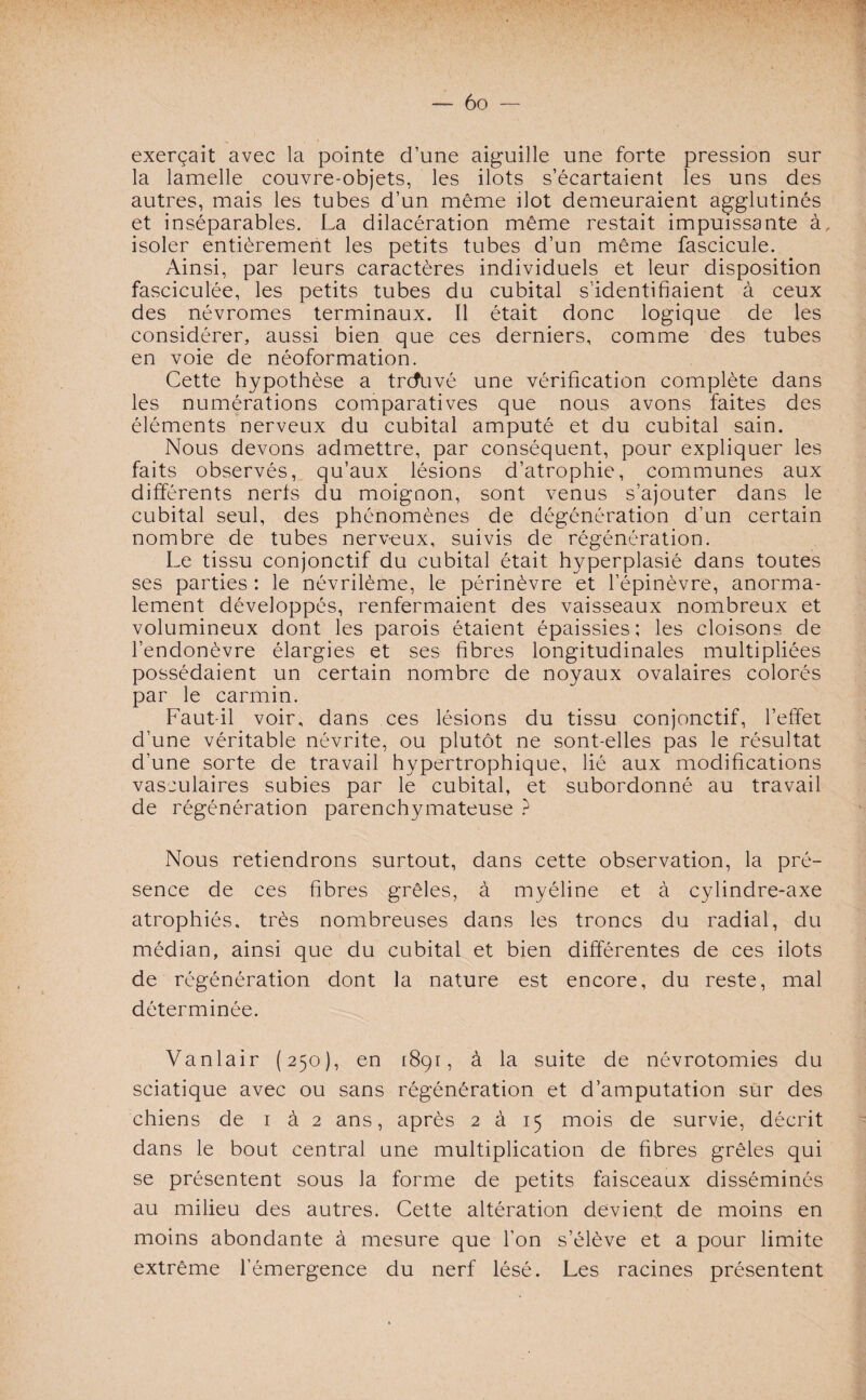 exerçait avec la pointe d’une aiguille une forte pression sur la lamelle couvre-objets, les ilôts s’écartaient les uns des autres, mais les tubes d’un même îlot demeuraient agglutinés et inséparables. La dilacération même restait impuissante à. isoler entièrement les petits tubes d’un même fascicule. Ainsi, par leurs caractères individuels et leur disposition fasciculée, les petits tubes du cubital s’identifiaient à ceux des névromes terminaux. Il était donc logique de les considérer, aussi bien que ces derniers, comme des tubes en voie de néoformation. Cette hypothèse a trcfuvé une vérification complète dans les numérations comparatives que nous avons faites des éléments nerveux du cubital amputé et du cubital sain. Nous devons admettre, par conséquent, pour expliquer les faits observés, qu’aux lésions d’atrophie, communes aux différents nerts du moignon, sont venus s’ajouter dans le cubital seul, des phénomènes de dégénération d’un certain nombre de tubes nerveux, suivis de régénération. Le tissu conjonctif du cubital était hyperplasié dans toutes ses parties : le névrilème, le périnèvre et l’épinèvre, anorma¬ lement développés, renfermaient des vaisseaux nombreux et volumineux dont les parois étaient épaissies; les cloisons de l’endonèvre élargies et ses fibres longitudinales multipliées possédaient un certain nombre de noyaux ovalaires colorés par le carmin. Faut-il voir, dans ces lésions du tissu conjonctif, l’effet d’une véritable névrite, ou plutôt ne sont-elles pas le résultat d’une sorte de travail hypertrophique, lié aux modifications vasculaires subies par le cubital, et subordonné au travail de régénération parenchymateuse ? Nous retiendrons surtout, dans cette observation, la pré¬ sence de ces fibres grêles, à myéline et à cylindre-axe atrophiés, très nombreuses dans les troncs du radial, du médian, ainsi que du cubital et bien différentes de ces ilôts de régénération dont la nature est encore, du reste, mal déterminée. Vanlair (250), en 1891, à la suite de névrotomies du sciatique avec ou sans régénération et d’amputation sur des chiens de 1 à 2 ans, après 2 à 15 mois de survie, décrit dans le bout central une multiplication de fibres grêles qui se présentent sous la forme de petits faisceaux disséminés au milieu des autres. Cette altération devient de moins en moins abondante à mesure que l’on s’élève et a pour limite extrême l’émergence du nerf lésé. Les racines présentent