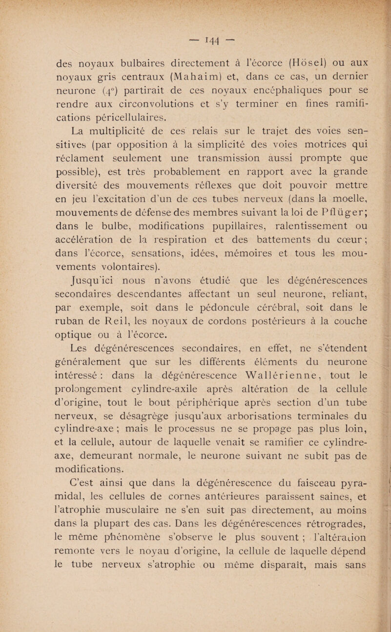 — i^4 - des noyaux bulbaires directement à l’écorce (Hosel) ou aux noyaux gris centraux (Mahaim) et, dans ce cas, un dernier neurone (40) partirait de ces noyaux encéphaliques pour se rendre aux circonvolutions et s’y terminer en fines ramifi¬ cations péricellulaires. La multiplicité de ces relais sur le trajet des voies sen¬ sitives (par opposition à la simplicité des voies motrices qui réclament seulement une transmission aussi prompte que possible), est très probablement en rapport avec la grande diversité des mouvements réflexes que doit pouvoir mettre en jeu l’excitation d’un de ces tubes nerveux (dans la moelle, mouvements de défense des membres suivant la loi de Pflüger; dans le bulbe, modifications pupillaires, ralentissement ou accélération de la respiration et des battements du cœur ; dans l’écorce, sensations, idées, mémoires et tous les mou¬ vements volontaires). Jusqu'ici nous n’avons étudié que les dégénérescences secondaires descendantes affectant un seul neurone, reliant, par exemple, soit dans le pédoncule cérébral, soit dans le ruban de Reil, les noyaux de cordons postérieurs à la couche optique ou à l’écorce. Les dégénérescences secondaires, en effet, ne s’étendent généralement que sur les différents éléments du neurone intéressé: dans la dégénérescence Wallérienne, tout le prolongement cylindre-axile après altération de la cellule d’origine, tout le bout périphérique après section d’un tube nerveux, se désagrège jusqu’aux arborisations terminales du cylindre-axe ; mais le processus ne se propage pas plus loin, et la cellule, autour de laquelle venait se ramifier ce cylindre- axe, demeurant normale, le neurone suivant ne subit pas de modifications. C’est ainsi que dans la dégénérescence du faisceau pyra¬ midal, les cellules de cornes antérieures paraissent saines, et l’atrophie musculaire ne s’en suit pas directement, au moins dans la plupart des cas. Dans les dégénérescences rétrogrades, le même phénomène s’observe le plus souvent ; l’altération remonte vers le noyau d’origine, la cellule de laquelle dépend le tube nerveux s’atrophie ou même disparaît, mais sans