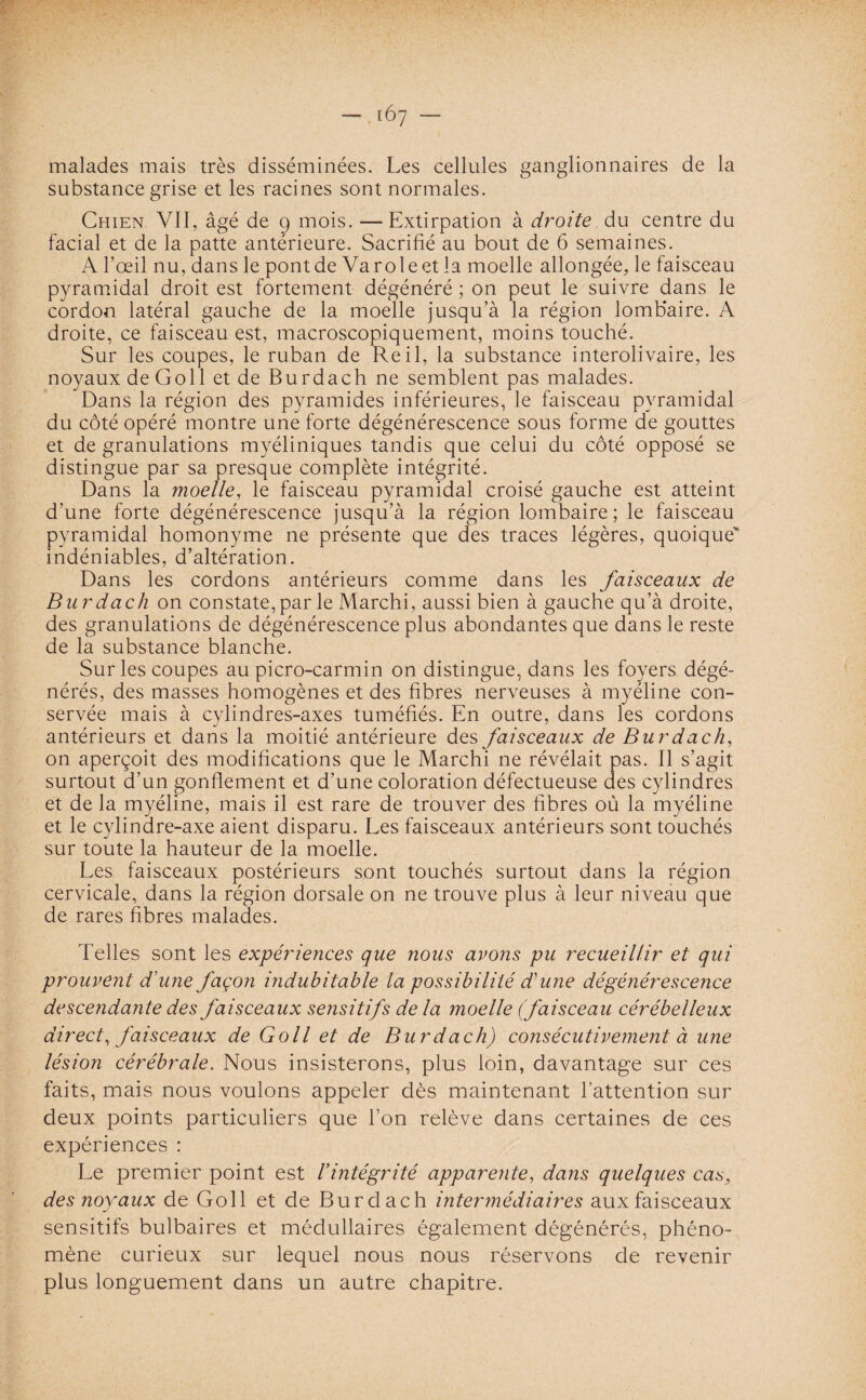 malades mais très disséminées. Les cellules ganglionnaires de la substance grise et les racines sont normales. Chien VII, âgé de 9 mois. — Extirpation à droite du centre du facial et de la patte antérieure. Sacrifié au bout de 6 semaines. A l’œil nu, dans le pont de Va rôle et la moelle allongée, le faisceau pyramidal droit est fortement dégénéré ; on peut le suivre dans le cordon latéral gauche de la moelle jusqu’à la région lombaire. A droite, ce faisceau est, macroscopiquement, moins touché. Sur les coupes, le ruban de Reil, la substance interolivaire, les noyaux de Goll et de Burdach ne semblent pas malades. Dans la région des pyramides inférieures, le faisceau pyramidal du côté opéré montre une forte dégénérescence sous forme de gouttes et de granulations myéliniques tandis que celui du côté opposé se distingue par sa presque complète intégrité. Dans la moelle, le faisceau pyramidal croisé gauche est atteint d’une forte dégénérescence jusqu’à la région lombaire ; le faisceau pyramidal homonyme ne présente que des traces légères, quoique indéniables, d’altération. Dans les cordons antérieurs comme dans les faisceaux de Burdach on constaterai'le Marchi, aussi bien à gauche qu’à droite, des granulations de dégénérescence plus abondantes que dans le reste de la substance blanche. Sur les coupes au picro-carmin on distingue, dans les foyers dégé¬ nérés, des masses homogènes et des fibres nerveuses à myéline con¬ servée mais à cylindres-axes tuméfiés. En outre, dans les cordons antérieurs et dans la moitié antérieure des faisceaux de Burdach, on aperçoit des modifications que le Marchi ne révélait pas. Il s’agit surtout d’un gonflement et d’une coloration défectueuse des cylindres et de la myéline, mais il est rare de trouver des fibres où la myéline et le cylindre-axe aient disparu. Les faisceaux antérieurs sont touchés sur toute la hauteur de la moelle. Les faisceaux postérieurs sont touchés surtout dans la région cervicale, dans la région dorsale on ne trouve plus à leur niveau que de rares fibres malades. Telles sont les expériences que nous avons pu recueillir et qui prouvent d\me façon indubitable la possibilité d'une dégénérescence descendante des faisceaux sensitif s de la moelle (faisceau cérébelleux direct, faisceaux de Goll et de Burdach) consécutivement à une lésion cérébrale. Nous insisterons, plus loin, davantage sur ces faits, mais nous voulons appeler dès maintenant l’attention sur deux points particuliers que l’on relève dans certaines de ces expériences : Le premier point est /’intégrité apparente, dans quelques cas3 des noyaux de Goll et de Burdach intermédiaires aux faisceaux sensitifs bulbaires et médullaires également dégénérés, phéno¬ mène curieux sur lequel nous nous réservons de revenir plus longuement dans un autre chapitre.