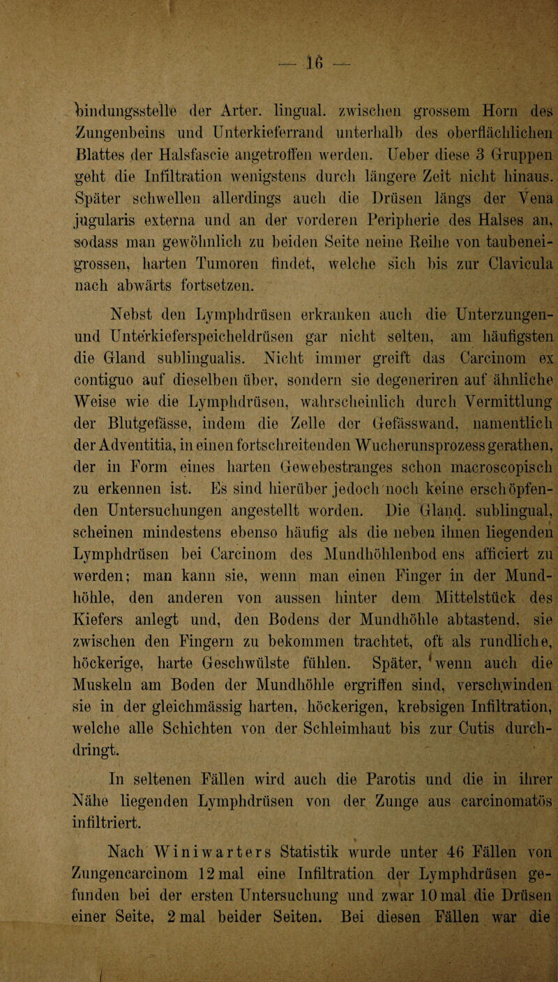 biiidungsstelle der Artet, lingual, zwischen grossem Horn des 'Zungenbeins und Unterkieferrand unterhalb des oberflächlichen Blattes der Halsfascie angetroffen werden. Ueber diese 3 Gruppen geht die Infiltration wenigstens durch längere Zeit nicht hinaus. Später schwellen allerdings auch die Drüsen längs der Vena jugularis externa und an der vorderen Peripherie des Halses am sodass man gewöhnlich zu beiden Seite neine Reihe von taubenei¬ grossen, harten Tumoren findet, welche sich bis zur Clavicula nach abwärts fortsetzen. Nebst den Lymphdrüsen erkranken auch die Unterzungen- und Unterkieferspeicheldrüsen gar nicht selten, am häufigsten die Gland sublingualis. Nicht immer greift das Carcinom ex contiguo auf dieselben über, sondern sie degeneriren auf ähnliche Weise wie die Lymphdrüsen, wahrscheinlich durch Vermittlung der Blutgefässe, indem die Zelle der Gefässwand, namentlich der Adventitia, in einen fortschreitenden Wucherunsprozess gerathen, der in Form eines harten Gewebestranges schon macroscopisch zu erkennen ist. Es sind hierüber jedoch noch keine erschöpfen¬ den Untersuchungen angestellt worden. Die Gland. sublingual, scheinen mindestens ebenso häufig als die neben ihnen liegenden Lymphdrüsen bei Carcinom des Mundhöhlenbod ens afficiert zu werden; man kann sie, wenn man einen Finger in der Mund¬ höhle, den anderen von aussen hinter dem Mittelstück des Kiefers anlegt und, den Bodens der Mundhöhle abtastend, sie zwischen den Fingern zu bekommen trachtet, oft als rundliche, höckerige, harte Geschwülste fühlen. Später, 'wenn auch die Muskeln am Boden der Mundhöhle ergriffen sind, verschwinden sie in der gleichmässig harten, höckerigen, krebsigen Infiltration, welche alle Schichten von der Schleimhaut bis zur Cutis durch¬ dringt. In seltenen Fällen wird auch die Parotis und die in ihrer Nähe liegenden Lymphdrüsen von der Zunge aus carcinomatös infiltriert. Nach Winiwarters Statistik wurde unter 46 Fällen von Zungencarcinom 12 mal eine Infiltration der Lymphdrüsen ge¬ funden bei der ersten Untersuchung und zwar 10 mal die Drüsen einer Seite, 2 mal beider Seiten. Bei diesen Fällen war die i