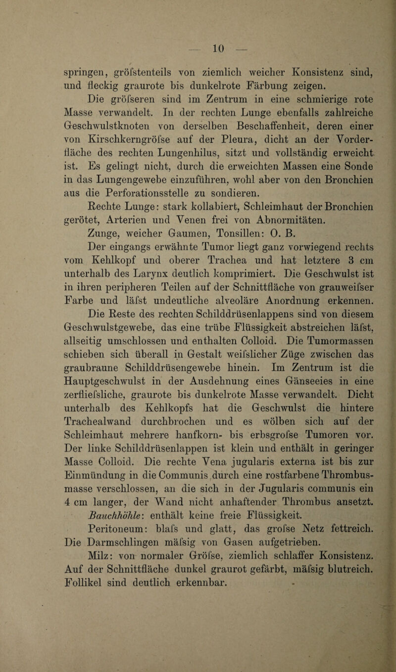 springen, gröfstenteils von ziemlich weicher Konsistenz sind, und fleckig graurote bis dunkelrote Färbung zeigen. Die gröfseren sind im Zentrum in eine schmierige rote Masse verwandelt. In der rechten Lunge ebenfalls zahlreiche Geschwulstknoten von derselben Beschaffenheit, deren einer von Kirschkerngröfse auf der Pleura, dicht an der Vorder¬ fläche des rechten Lungenhilus, sitzt und vollständig erweicht ist. Es gelingt nicht, durch die erweichten Massen eine Sonde in das Lungengewehe einzuführen, wohl aber von den Bronchien aus die Perforationsstelle zu sondieren. Rechte Lunge: stark kollabiert, Schleimhaut der Bronchien gerötet, Arterien und Venen frei von Abnormitäten. Zunge, weicher Gaumen, Tonsillen; 0. B. Der eingangs erwähnte Tumor liegt ganz vorwiegend rechts vom Kehlkopf und oberer Trachea und hat letztere 3 cm unterhalb des Larjnx deutlich komprimiert. Die Geschwulst ist in ihren peripheren Teilen auf der Schnittfläche von grauweifser Farbe und läfst undeutliche alveoläre Anordnung erkennen. Die Reste des rechten Schilddrüsenlappens sind von diesem Geschwulstgewebe, das eine trübe Flüssigkeit abstreichen läfst, allseitig umschlossen und enthalten Colloid. Die Tumormassen schieben sich überall in Gestalt weifslicher Züge zwischen das graubraune Schilddrüsengewebe hinein. Im Zentrum ist die Hauptgeschwulst in der Ausdehnung eines Gänseeies in eine zerfliefsliche, graurote bis dunkelrote Masse verwandelt. Dicht unterhalb des Kehlkopfs hat die Geschwulst die hintere Trachealwand durchbrochen und es wölben sich auf der Schleimhaut mehrere hanfkorn- bis erbsgrofse Tumoren vor. Der linke Schilddrüsenlappen ist klein und enthält in geringer Masse Colloid. Die rechte Vena jugularis externa ist bis zur Einmündung in die Communis,durch eine rostfarbene Thrombus¬ masse verschlossen, an die sich in der Jugularis communis ein 4 cm langer, der Wand nicht anhaftender Thrombus ansetzt. Bauchhöhle: enthält keine freie Flüssigkeit. Peritoneum: blafs und glatt, das grofse Netz fettreich. Die Darmschlingen mäfsig von Gasen aufgetrieben. Milz: von normaler Gröfse, ziemlich schlaffer Konsistenz. Auf der Schnittfläche dunkel graurot gefärbt, mäfsig blutreich. Follikel sind deutlich erkennbar.