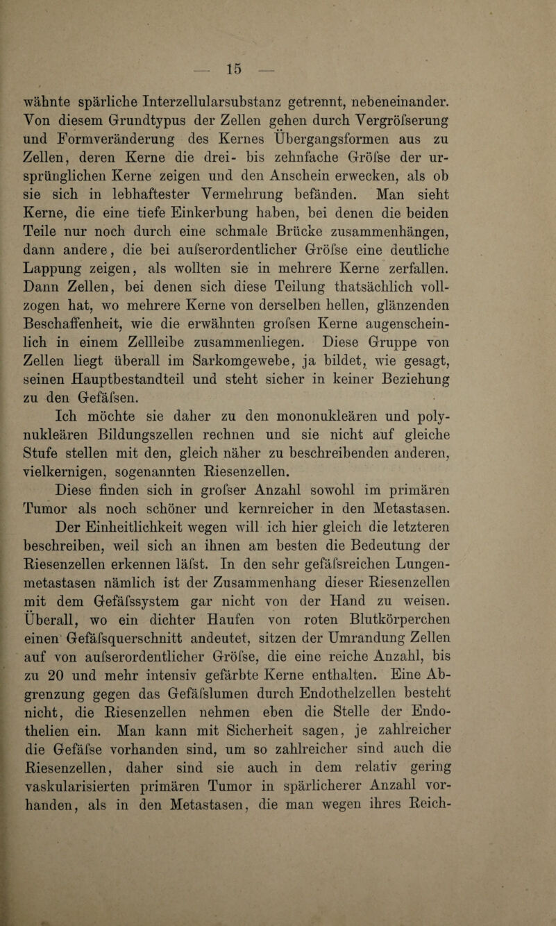 wähnte spärliche Interzellularsubstanz getrennt, nebeneinander. Von diesem Grundtypus der Zellen gehen durch Vergröfserung _ • • und Formveränderung des Kernes Ubergangsformen aus zu Zellen, deren Kerne die drei- bis zehnfache Gröfse der ur¬ sprünglichen Kerne zeigen und den Anschein erwecken, als oh sie sich in lebhaftester Vermehrung befänden. Man sieht Kerne, die eine tiefe Einkerbung haben, bei denen die beiden Teile nur noch durch eine schmale Brücke Zusammenhängen, dann andere, die hei aufs er ordentlicher Gröfse eine deutliche Lappung zeigen, als wollten sie in mehrere Kerne zerfallen. Dann Zellen, hei denen sich diese Teilung thatsächlich voll¬ zogen hat, wo mehrere Kerne von derselben hellen, glänzenden Beschaffenheit, wie die erwähnten grofsen Kerne augenschein¬ lich in einem Zellleihe zusammenliegen. Diese Gruppe von Zellen liegt überall im Sarkomgewehe, ja bildet, wie gesagt, seinen Hauptbestandteil und steht sicher in keiner Beziehung zu den Gefäfsen. Ich möchte sie daher zu den mononukleären und poly¬ nukleären Bildungszellen rechnen und sie nicht auf gleiche Stufe stellen mit den, gleich näher zu beschreibenden anderen, vielkernigen, sogenannten Biesenzellen. Diese finden sich in grofser Anzahl sowohl im primären Tumor als noch schöner und kernreicher in den Metastasen. Der Einheitlichkeit wegen will ich hier gleich die letzteren beschreiben, weil sich an ihnen am besten die Bedeutung der Biesenzellen erkennen läfst. In den sehr gefäfsreichen Lungen¬ metastasen nämlich ist der Zusammenhang dieser Biesenzellen mit dem Gefäfssystem gar nicht von der Hand zu weisen. Überall, wo ein dichter Haufen von roten Blutkörperchen einen Gefäfsquerschnitt andeutet, sitzen der Umrandung Zellen auf von aufs er ordentlicher Gröfse, die eine reiche Anzahl, bis zu 20 und mehr intensiv gefärbte Kerne enthalten. Eine Ab¬ grenzung gegen das Gefäfslumen durch Endothelzellen besteht nicht, die Biesenzellen nehmen eben die Stelle der Endo- thelien ein. Man kann mit Sicherheit sagen, je zahlreicher die Gefäfse vorhanden sind, um so zahlreicher sind auch die Biesenzellen, daher sind sie auch in dem relativ gering vaskularisierten primären Tumor in spärlicherer Anzahl vor¬ handen, als in den Metastasen, die man wegen ihres Beich-