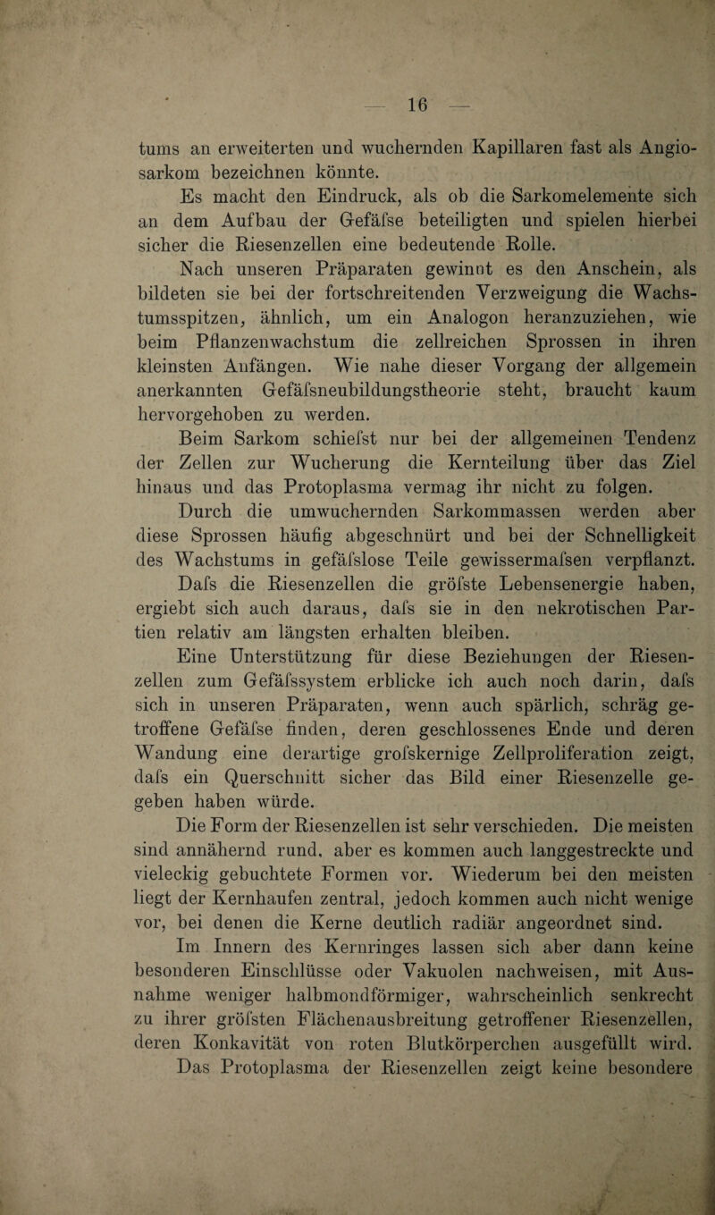 tums an erweiterten und wuchernden Kapillaren fast als Angio- sarkom bezeichnen könnte. Es macht den Eindruck, als ob die Sarkomelemente sich an dem Aufbau der Gefäfse beteiligten und spielen hierbei sicher die Riesenzellen eine bedeutende Rolle. Nach unseren Präparaten gewinnt es den Anschein, als bildeten sie bei der fortschreitenden Verzweigung die Wachs¬ tumsspitzen, ähnlich, um ein Analogon heranzuziehen, wie beim Pflanzenwachstum die zellreichen Sprossen in ihren kleinsten Anfängen. Wie nahe dieser Vorgang der allgemein anerkannten Gefäfsneubildungstheorie steht, braucht kaum hervorgehoben zu werden. Beim Sarkom schiefst nur bei der allgemeinen Tendenz der Zellen zur Wucherung die Kernteilung über das Ziel hinaus und das Protoplasma vermag ihr nicht zu folgen. Durch die umwuchernden Sarkommassen werden aber diese Sprossen häufig abgeschnürt und bei der Schnelligkeit des Wachstums in gefäfslose Teile gewissermafsen verpflanzt. Dafs die Riesenzellen die gröfste Lebensenergie haben, ergiebt sich auch daraus, dafs sie in den nekrotischen Par¬ tien relativ am längsten erhalten bleiben. Eine Unterstützung für diese Beziehungen der Riesen¬ zellen zum Gefäfssystem erblicke ich auch noch darin, dafs sich in unseren Präparaten, wenn auch spärlich, schräg ge¬ troffene Gefäfse finden, deren geschlossenes Ende und deren Wandung eine derartige grofskernige Zellproliferation zeigt, dafs ein Querschnitt sicher das Bild einer Riesenzelle ge¬ geben haben würde. Die Form der Riesenzellen ist sehr verschieden. Die meisten sind annähernd rund, aber es kommen auch langgestreckte und vieleckig gebuchtete Formen vor. Wiederum bei den meisten liegt der Kernhaufen zentral, jedoch kommen auch nicht wenige vor, bei denen die Kerne deutlich radiär angeordnet sind. Im Innern des Kernringes lassen sich aber dann keine besonderen Einschlüsse oder Vakuolen nachweisen, mit Aus¬ nahme weniger halbmondförmiger, wahrscheinlich senkrecht zu ihrer gröfsten Flächenausbreitung getroffener Riesenzellen, deren Konkavität von roten Blutkörperchen ausgefüllt wird. Das Protoplasma der Riesenzellen zeigt keine besondere