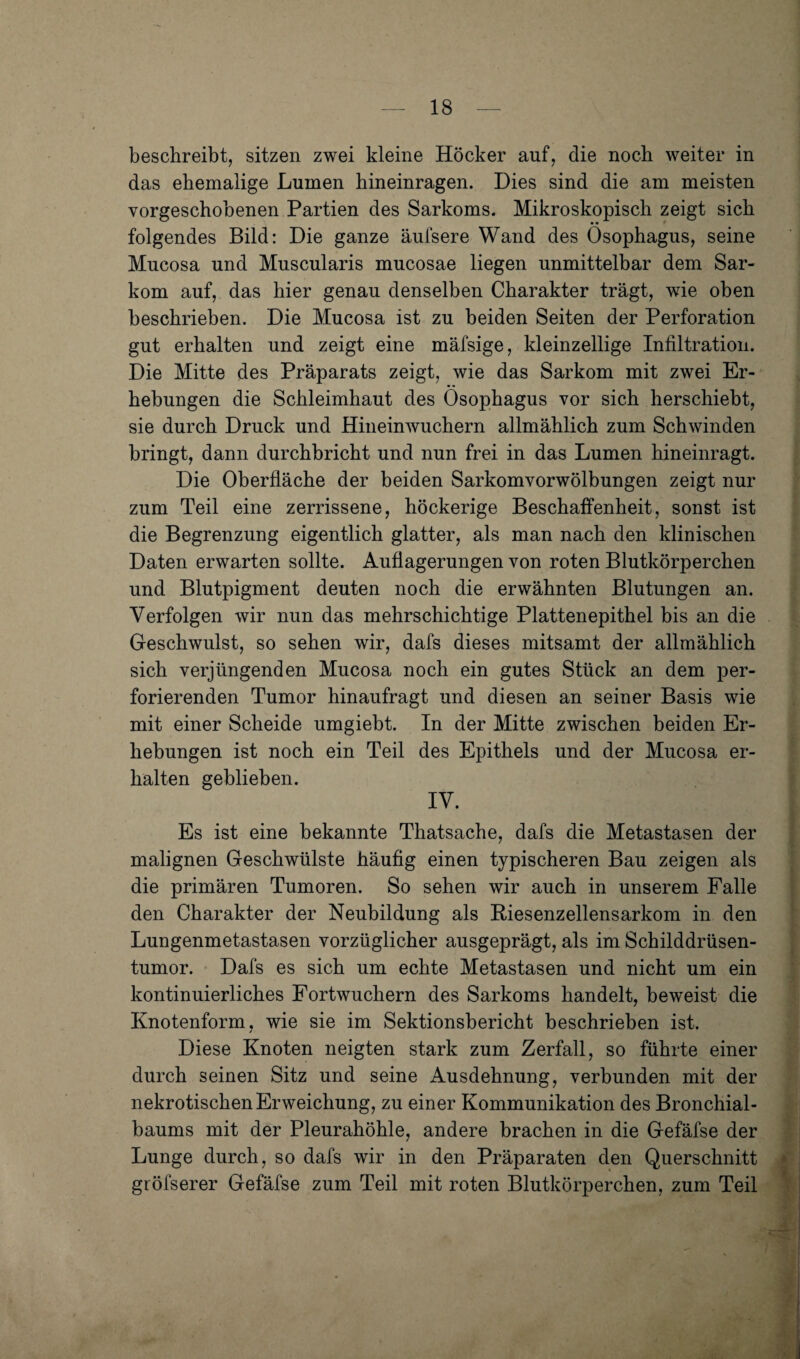 beschreibt, sitzen zwei kleine Höcker auf, die noch weiter in das ehemalige Lumen hineinragen. Dies sind die am meisten vorgeschobenen Partien des Sarkoms. Mikroskopisch zeigt sich folgendes Bild: Die ganze äufsere Wand des Ösophagus, seine Mucosa und Muscularis mucosae liegen unmittelbar dem Sar¬ kom auf, das hier genau denselben Charakter trägt, wie oben beschrieben. Die Mucosa ist zu beiden Seiten der Perforation gut erhalten und zeigt eine mäfsige, kleinzellige Infiltration. Die Mitte des Präparats zeigt, wie das Sarkom mit zwei Er¬ hebungen die Schleimhaut des Ösophagus vor sich herschiebt, sie durch Druck und Hineinwuchern allmählich zum Schwinden bringt, dann durchbricht und nun frei in das Lumen hineinragt. Die Oberfläche der beiden Sarkomvorwölbungen zeigt nur zum Teil eine zerrissene, höckerige Beschaffenheit, sonst ist die Begrenzung eigentlich glatter, als man nach den klinischen Daten erwarten sollte. Auflagerungen von roten Blutkörperchen und Blutpigment deuten noch die erwähnten Blutungen an. Verfolgen wir nun das mehrschichtige Plattenepithel bis an die Geschwulst, so sehen wir, dafs dieses mitsamt der allmählich sich verjüngenden Mucosa noch ein gutes Stück an dem per¬ forierenden Tumor hinaufragt und diesen an seiner Basis wie mit einer Scheide umgiebt. In der Mitte zwischen beiden Er¬ hebungen ist noch ein Teil des Epithels und der Mucosa er¬ halten geblieben. IV. Es ist eine bekannte Thatsache, dafs die Metastasen der malignen Geschwülste häufig einen typischeren Bau zeigen als die primären Tumoren. So sehen wir auch in unserem Falle den Charakter der Neubildung als Riesenzellensarkom in den Lungenmetastasen vorzüglicher ausgeprägt, als im Schilddrüsen¬ tumor. Dafs es sich um echte Metastasen und nicht um ein kontinuierliches Fortwuchern des Sarkoms handelt, beweist die Knotenform, wie sie im Sektionsbericht beschrieben ist. Diese Knoten neigten stark zum Zerfall, so führte einer durch seinen Sitz und seine Ausdehnung, verbunden mit der nekrotischen Erweichung, zu einer Kommunikation des Bronchial¬ baums mit der Pleurahöhle, andere brachen in die Gefäfse der Lunge durch, so dafs wir in den Präparaten den Querschnitt gröfserer Gefäfse zum Teil mit roten Blutkörperchen, zum Teil