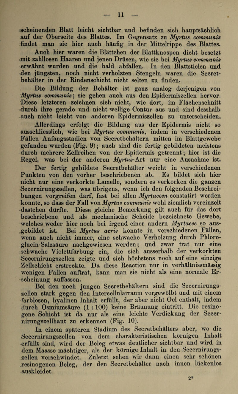 scheinenden Blatt leicht sichtbar und befinden sich hauptsächlich ^uf der Oberseite des Blattes. Im Gegensatz zu Myrtus communis findet man sie hier auch häufig in der Mittelrippe des Blattes. Auch hier waren die Blättchen der Blattknospen dicht besetzt mit zahllosen Haaren und jenen Drüsen, wie sie bei Myrtus communis erwähnt wurden und die bald abfallen. In den Blattstielen und den jüngsten, noch nicht verholzten Stengeln waren die Secret- behälter in der Rindenschicht nicht selten zu finden. Die Bildung der Behälter ist ganz analog derjenigen von Myrtus communis; sie gehen auch aus den Epidermiszellen hervor. Diese letzteren zeichnen sich nicht, wie dort, im Flächenschnitt •durch ihre gerade und nicht wellige Contur aus und sind desshalb *auch nicht leicht von anderen Epidermiszellen zu unterscheiden. Allerdings erfolgt die Bildung aus der Epidermis nicht so ausschliesslich, wie bei Myrtus communisj indem in verschiedenen Fällen Anfangsstadien von Secretbehältern mitten im Blattgewebe gefunden wurden (Fig. 9); auch sind die fertig gebildeten meistens durch mehrere Zellreihen von der Epidermis getrennt; hier ist die Regel, was bei der anderen Myrtus-Kvt nur eine Ausnahme ist. Der fertig gebildete Secretbehälter weicht in verschiedenen Punkten von den vorher beschriebenen ab. Es bildet sich hier nicht nur eine verkorkte Lamelle, sondern es verkorken die ganzen Secernirungszellen, was übrigens, wenn ich den folgenden Beschrei¬ bungen vorgreifen darf, fast bei allen Myrtaceen constatirt werden konnte, so dass der Fall von Myrtus communis wohl ziemlich vereinzelt dastehen dürfte. Diese gleiche Bemerkung gilt auch für das dort beschriebene und als mechanische Scheide bezeichnete Gewebe, welches weder hier noch bei irgend einer andern Myrtacee so aus¬ gebildet ist. Bei Myrtus acris konnte in verschiedenen Fällen, wenn auch nicht immer, eine schwache Verholzung durch Phloro- glucin-Salzsäure nachgewiesen werden; und zwar trat nur eine .schwache Violettfärbung ein, die sich ausserhalb der verkorkten Secernirungszellen zeigte und sich höchstens noch auf eine einzige Zellschicht erstreckte. Da diese Reaction nur in verhältnissmässig wenigen Fällen auftrat, kann man sie nicht als eine normale Er¬ scheinung auffassen. Bei den noch jungen Secretbehältern sind die Secernirungs¬ zellen stark gegen den Intercellularraum vorgewölbt und mit einem farblosen, hyalinen Inhalt erfüllt, der aber nicht Oel enthält, indem durch Osmiumsäure (1 :100) keine Bräunung eintritt. Die resino- gene Schicht ist da nur als eine leichte Verdickung der Secer- nirungszellhaut zu erkennen (Fig. 10). In einem späteren Stadium des Secretbehälters aber, wo die Secernirungszellen von dem charakteristischen körnigen Inhalt erfüllt sind, wird der Beleg etwas deutlicher sichtbar und wird in dem Maasse mächtiger, als der körnige Inhalt in den Secernirungs¬ zellen verschwindet. Zuletzt sehen wir dann einen sehr schönen .resinogenen Beleg, der den Secretbehälter nach innen lückenlos auskleidet. 2*