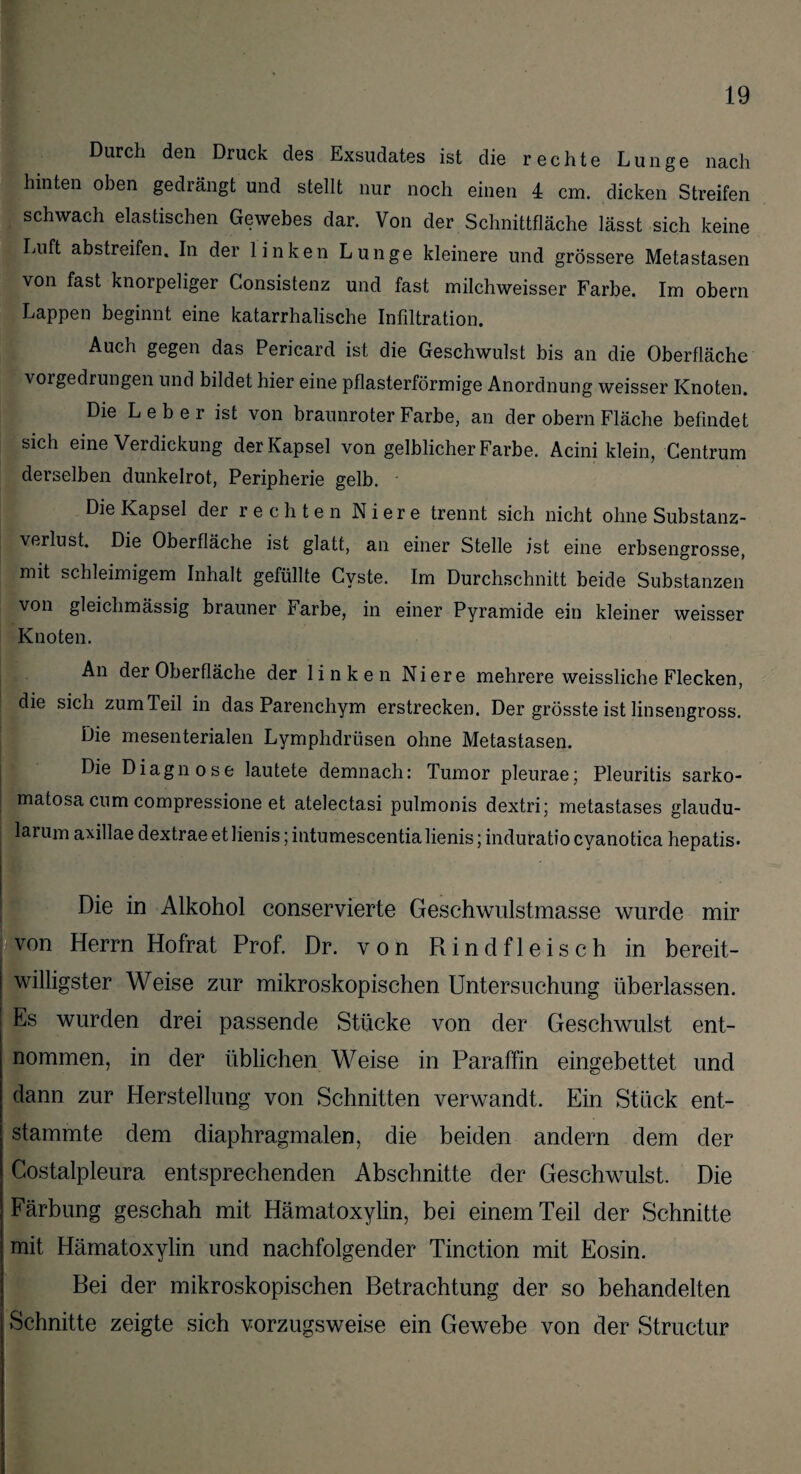 Durch den Druck des Exsudates ist die rechte Lunge nach hinten oben gedrängt und stellt nur noch einen 4 cm. dicken Streifen schwach elastischen Gewebes dar. Von der Schnittfläche lässt sich keine Luft abstreifen. In der linken Lunge kleinere und grössere Metastasen von fast knorpeliger Consistenz und fast milchweisser Farbe. Im obern Lappen beginnt eine katarrhalische Infiltration. Auch gegen das Pericard ist die Geschwulst bis an die Oberfläche vorgedrungen und bildet hier eine pflasterförmige Anordnung weisser Knoten. Die Leber ist von braunroter Farbe, an der obern Fläche befindet sich eine Verdickung der Kapsel von gelblicher Farbe. Acini klein, Centrum derselben dunkelrot, Peripherie gelb. Die Kapsel der rechten Niere trennt sich nicht ohne Substanz¬ verlust. Die Oberfläche ist glatt, an einer Stelle ist eine erbsengrosse, mit schleimigem Inhalt gefüllte Cyste. Im Durchschnitt beide Substanzen von gleichmässig brauner Farbe, in einer Pyramide ein kleiner weisser Knoten. An der Oberfläche der linken Niere mehrere weissliche Flecken, die sich zum Teil in das Parenchym erstrecken. Der grösste ist linsengross. Die mesenterialen Lymphdriisen ohne Metastasen. Die Diagnose lautete demnach: Tumor pleurae; Pleuritis sarko- matosa cum compressione et atelectasi pulmonis dextri; metastases glaudu- larum axillae dextrae et lienis; intumescentia lienis; induratio cyanotica hepatis* Die in Alkohol conservierte Geschwulstmasse wurde mir von Herrn Hofrat Prof. Dr. von Rindfleisch in bereit¬ willigster Weise zur mikroskopischen Untersuchung überlassen. Es wurden drei passende Stücke von der Geschwulst ent¬ nommen, in der üblichen Weise in Paraffin eingebettet und dann zur Herstellung von Schnitten verwandt. Ein Stück ent¬ stammte dem diaphragmalen, die beiden andern dem der Costalpleura entsprechenden Abschnitte der Geschwulst. Die Färbung geschah mit Hämatoxylin, bei einem Teil der Schnitte mit Hämatoxylin und nachfolgender Tinction mit Eosin. Bei der mikroskopischen Betrachtung der so behandelten Schnitte zeigte sich vorzugsweise ein Gewebe von der Structur