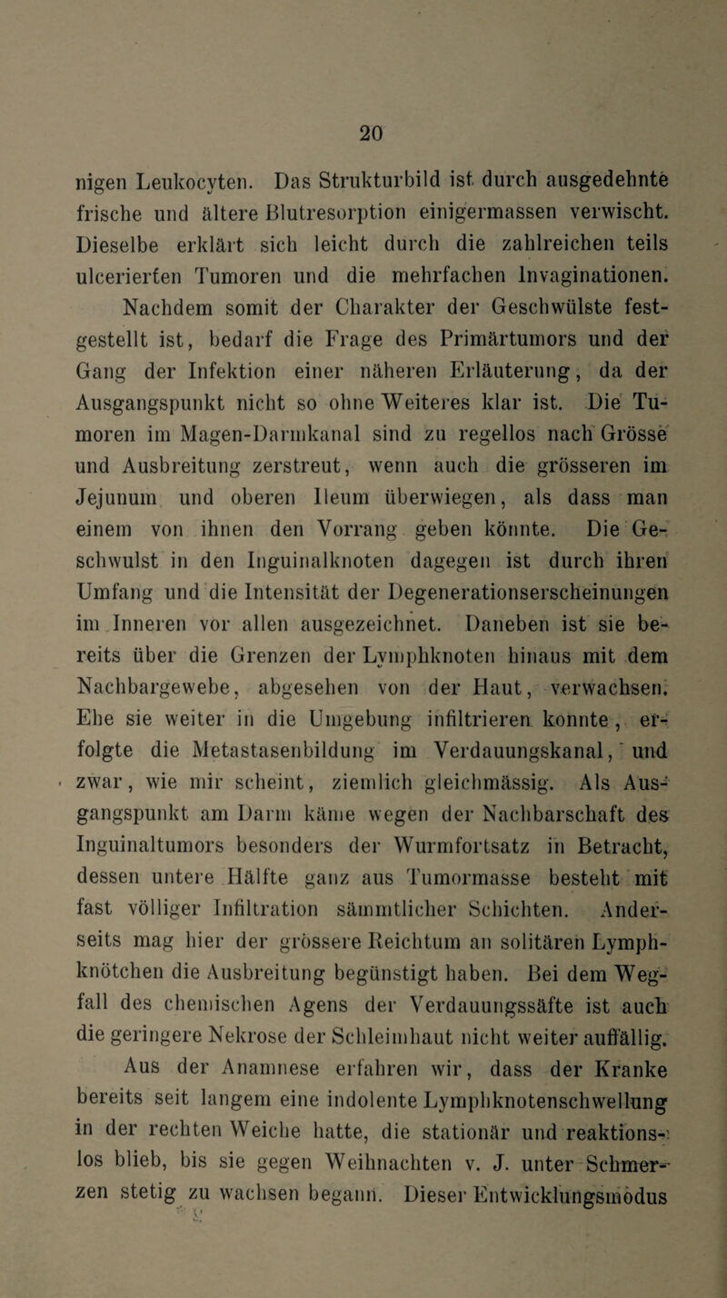 nigen Leukocyten. Das Strukturbild ist durch ausgedehnte frische und ältere Blutresorption einigermassen verwischt. Dieselbe erklärt sich leicht durch die zahlreichen teils ulcerierten Tumoren und die mehrfachen lnvaginationen. Nachdem somit der Charakter der Geschwülste fest¬ gestellt ist, bedarf die Frage des Primärtumors und der Gang der Infektion einer näheren Erläuterung, da der Ausgangspunkt nicht so ohne Weiteres klar ist. Die Tu¬ moren im Magen-Darmkanal sind zu regellos nach Grösse und Ausbreitung zerstreut, wenn auch die grösseren im Jejunum und oberen lleum überwiegen, als dass man einem von ihnen den Vorrang, geben könnte. Die Ge¬ schwulst in den Inguinalknoten dagegen ist durch ihren Umfang und die Intensität der Degenerationserscheinungen im Inneren vor allen ausgezeichnet. Daneben ist sie be¬ reits über die Grenzen der Lymphknoten hinaus mit dem Nachbargewebe, abgesehen von der Haut, verwachsen. Ehe sie weiter in die Umgebung infiltrieren konnte, er¬ folgte die Metastasenbildung im Verdauungskanal, 'und • zwar, wie mir scheint, ziemlich gleichmässig. Als Aus¬ gangspunkt am Darm käme wegen der Nachbarschaft des Inguinaltumors besonders der Wurmfortsatz in Betracht, dessen untere Hälfte ganz aus Tumormasse besteht mit fast völliger Infiltration sämmtlicher Schichten. Ander¬ seits mag hier der grössere Reichtum an solitären Lymph¬ knötchen die Ausbreitung begünstigt haben. Bei dem Weg¬ fall des chemischen Agens der Verdauungssäfte ist auch die geringere Nekrose der Schleimhaut nicht weiter auffällig. Aus der Anamnese erfahren wir, dass der Kranke bereits seit langem eine indolente Lymphknotenschwellung in der rechten Weiche hatte, die stationär und reaktions-' los blieb, bis sie gegen Weihnachten v. J. unter Schmer-- zen stetig zu wachsen begann. Dieser Entwicklungsmodus t •' 7 i • i '