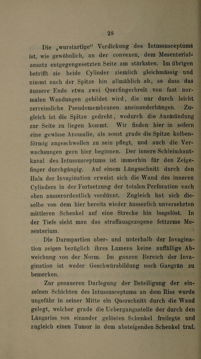 Die „wurstartige“ Verdickung des Intussusceptums ist, wie gewöhnlich, an der convexen, dem Mesenterial¬ ansatz entgegengesetzten Seite am stärksten. Im übrigen betrifft sie beide Cylinder ziemlich gleichmässig und nimmt nach der Spitze hin allmählich ab, so dass das äussere Ende etwa zwei Querfingerbreit von fast nor¬ malen Wandungen gebildet wird, die nur durch leicht zerreissliche Pseudomembranen aneinanderhängen. Zu¬ gleich ist die Spitze gedreht, wodurch die Ausmündung zur Seite zu liegen kommt. Wir finden hier in sofern eine gewisse Anomalie, als sonst grade die Spitze kolben¬ förmig angeschwollen zu sein pflegt, und auch die Ver¬ wachsungen gern hier beginnen. Der innere Schleimhaut¬ kanal des Intussusceptums ist immerhin für den Zeige¬ finger durchgängig. Auf einem Längsschnitt durch den Hals der Invagirlation erweist sich die Wand des inneren Cylinders in der Fortsetzung der totalen Perforation nach oben ausserordentlich verdünnt. Zugleich hat sich die¬ selbe von dem hier bereits wieder äusserlich unversehrten mittleren Schenkel auf eine Strecke hin losgelöst. In der Tiefe sieht man das straffausgezogene fettarme Me¬ senterium. Die Darmpartien ober- und unterhalb der Invagina- tion zeigen bezüglich ihres Lumens keine auffällige Ab¬ weichung von der Norm. Im ganzen Bereich der Inva- gination ist weder Geschwürsbildung noch Gangrän zu bemerken. Zur genaueren Darlegung der Beteiligung der ein¬ zelnen Schichten des Intussusceptums an dem Riss wurde ungefähr in seiner Mitte ein Querschnitt durch die Wand gelegt, welcher grade die Uebergangsstelle der durch den Längsriss von einander gelösten Schenkel freilegte und zugleich einen Tumor in dem absteigenden Schenkel traf.