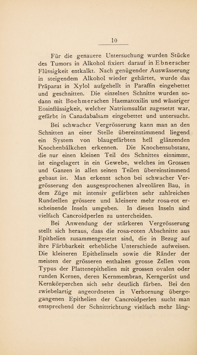 Für die genauere Untersuchung wurden Stücke des Tumors in Alkohol fixiert darauf in Ebner scher Flüssigkeit entkalkt. Nach genügender Auswässerung in steigendem Alkohol wieder gehärtet, wurde das Präparat in Xylol aufgehellt in Paraffin eingebettet und geschnitten. Die einzelnen Schnitte wurden so¬ dann mit Boehmersehen Haematoxilin und wässriger Eosinflüssigkeit, welcher Natriumsulfat zugesetzt war, gefärbt in Canadabalsam eingebettet und untersucht. Bei schwacher Vergrösserung kann man an den Schnitten an einer Stelle übereinstimmend liegend ein System von blaugefärbten hell glänzenden Knochenbälkchen erkennen. Die Knochensubstanz, die nur einen kleinen Teil des Schnittes einnimmt, ist eingelagert in ein Gewebe, welches im Grossen und Ganzen in allen seinen Teilen übereinstimmend gebaut ist. Man erkennt schon bei schwacher Ver¬ grösserung den ausgesprochenen alveolären Bau, in dem Züge mit intensiv gefärbten sehr zahlreichen Rundzellen grössere und kleinere mehr rosa-rot er¬ scheinende Inseln umgeben. In diesen Inseln sind vielfach Cancroidperlen zu untercheiden. Bei Anwendung der stärkeren Vergrösserung stellt sich heraus, dass die rosa-roten Abschnitte aus Epithelien zusammengesetzt sind, die in Bezug auf ihre Färbbarkeit erhebliche Unterschiede aufweisen. Die kleineren Epithelinseln sowie die Ränder der meisten der grösseren enthalten grosse Zellen vom Typus der Plattenepithelien mit grossen ovalen oder runden Kernen, deren Kernmembran, Kerngerüst und Kernkörperchen sich sehr deutlich färben. Bei den zwiebelartig angeordneten in Verhornung überge¬ gangenen Epithelien der Cancroidperlen sucht man entsprechend der Schnittrichtung vielfach mehr läng-