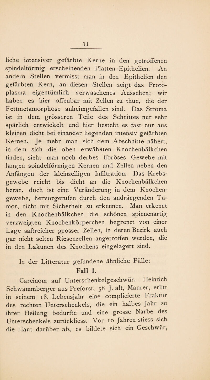 liehe intensiver gefärbte Kerne in den getroffenen spindelförmig erscheinenden Platten-Epithelien. An andern Stellen vermisst man in den Epithelien den gefärbten Kern, an diesen Stellen zeigt das Proto¬ plasma eigentümlich verwaschenes Aussehen; wir haben es hier offenbar mit Zellen zu thun, die der Fettmetamorphose anheimgefallen sind. Das Stroma ist in dem grösseren Teile des Schnittes nur sehr spärlich entwickelt und hier besteht es fast nur aus kleinen dicht bei einander liegenden intensiv gefärbten Kernen. Je mehr man sich dem Abschnitte nähert, in dem sich die oben erwähnten Knochenbälkchen finden, sieht man noch derbes fibröses Gewebe mit langen spindelförmigen Kernen und Zellen neben den Anfängen der kleinzelligen Infiltration. Das Krebs¬ gewebe reicht bis dicht an die Knochenbälkchen heran, doch ist eine Veränderung in dem Knochen¬ gewebe, hervorgerufen durch den andrängenden Tu¬ mor, nicht mit Sicherheit zu erkennen. Man erkennt in den Knochenbälkchen die schönen spinnenartig verzweigten Knochenkörperchen begrenzt von einer Lage saftreicher grosser Zellen, in deren Bezirk auch gar nicht selten Riesenzellen angetroffen werden, die in den Lakunen des Knochens eingelagert sind. In der Litteratur gefundene ähnliche Fälle: Fall 1. Carcinom auf Unterschenkelgeschwür. Heinrich Schwammberger aus Preforst, 58 J. alt, Maurer, erlitt in seinem 18. Lebensjahr eine complicierte Fraktur des rechten Unterschenkels, die ein halbes Jahr zu ihrer Heilung bedurfte und eine grosse Narbe des Unterschenkels zurückliess. Vor 10 Jahren stiess sich die Haut darüber ab, es bildete sich ein Geschwür,