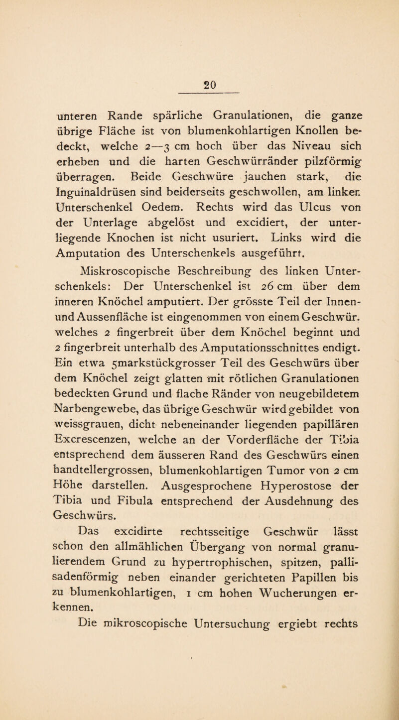 unteren Rande spärliche Granulationen, die ganze übrige Fläche ist von blumenkohlartigen Knollen be¬ deckt, welche 2—3 cm hoch über das Niveau sich erheben und die harten Geschwürränder pilzförmig überragen. Beide Geschwüre jauchen stark, die Inguinaldrüsen sind beiderseits geschwollen, am linken Unterschenkel Oedem. Rechts wird das Ulcus von der Unterlage abgelöst und excidiert, der unter¬ liegende Knochen ist nicht usuriert. Links wird die Amputation des Unterschenkels ausgeführt. Miskroscopische Beschreibung des linken Unter¬ schenkels: Der Unterschenkel ist 26 cm über dem inneren Knöchel amputiert. Der grösste Teil der Innen- und Aussenfläche ist eingenommen von einem Geschwür, welches 2 fingerbreit über dem Knöchel beginnt und 2 fingerbreit unterhalb des Amputationsschnittes endigt. Ein etwa 5markstückgrosser Teil des Geschwürs über dem Knöchel zeigt glatten mit rötlichen Granulationen bedeckten Grund und flache Ränder von neugebildetem Narbengewebe, das übrige Geschwür wird gebildet von weissgrauen, dicht nebeneinander liegenden papillären Excrescenzen, welche an der Vorderfläche der Tibia entsprechend dem äusseren Rand des Geschwürs einen handtellergrossen, blumenkohlartigen Tumor von 2 cm Höhe darstellen. Ausgesprochene Hyperostose der Tibia und Fibula entsprechend der Ausdehnung des Geschwürs. Das excidirte rechtsseitige Geschwür lässt schon den allmählichen Übergang von normal granu¬ lierendem Grund zu hypertrophischen, spitzen, palli- sadenförmig neben einander gerichteten Papillen bis zu blumenkohlartigen, 1 cm hohen Wucherungen er¬ kennen. Die mikroscopische Untersuchung ergiebt rechts