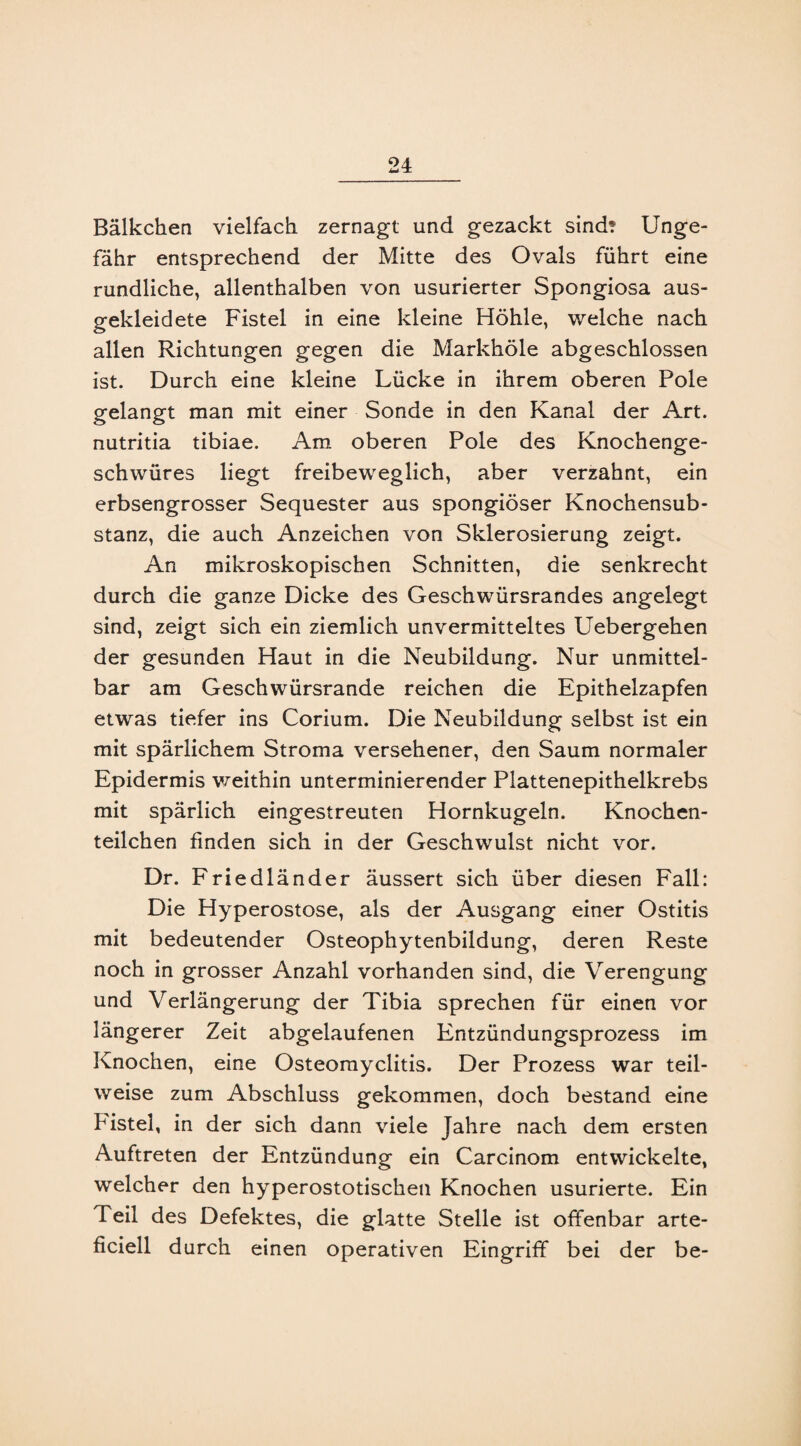 Bälkchen vielfach zernagt und gezackt sind? Unge¬ fähr entsprechend der Mitte des Ovals führt eine rundliche, allenthalben von usurierter Spongiosa aus¬ gekleidete Fistel in eine kleine Höhle, welche nach allen Richtungen gegen die Markhöle abgeschlossen ist. Durch eine kleine Lücke in ihrem oberen Pole gelangt man mit einer Sonde in den Kanal der Art. nutritia tibiae. Am oberen Pole des Knochenge¬ schwüres liegt freibeweglich, aber verzahnt, ein erbsengrosser Sequester aus spongiöser Knochensub¬ stanz, die auch Anzeichen von Sklerosierung zeigt. An mikroskopischen Schnitten, die senkrecht durch die ganze Dicke des Geschwürsrandes angelegt sind, zeigt sich ein ziemlich unvermitteltes Uebergehen der gesunden Haut in die Neubildung. Nur unmittel¬ bar am Geschwürsrande reichen die Epithelzapfen etwas tiefer ins Corium. Die Neubildung selbst ist ein mit spärlichem Stroma versehener, den Saum normaler Epidermis weithin unterminierender Plattenepithelkrebs mit spärlich eingestreuten Hornkugeln. Knochen¬ teilchen finden sich in der Geschwulst nicht vor. Dr. Friedländer äussert sich über diesen Fall: Die Hyperostose, als der Ausgang einer Ostitis mit bedeutender Osteophytenbildung, deren Reste noch in grosser Anzahl vorhanden sind, die Verengung und Verlängerung der Tibia sprechen für einen vor längerer Zeit abgelaufenen Entzündungsprozess im Knochen, eine Osteomyelitis. Der Prozess war teil¬ weise zum Abschluss gekommen, doch bestand eine Fistel, in der sich dann viele Jahre nach dem ersten Auftreten der Entzündung ein Carcinom entwickelte, welcher den hyperostotischen Knochen usurierte. Ein Teil des Defektes, die glatte Stelle ist offenbar arte- ficiell durch einen operativen Eingriff bei der be-