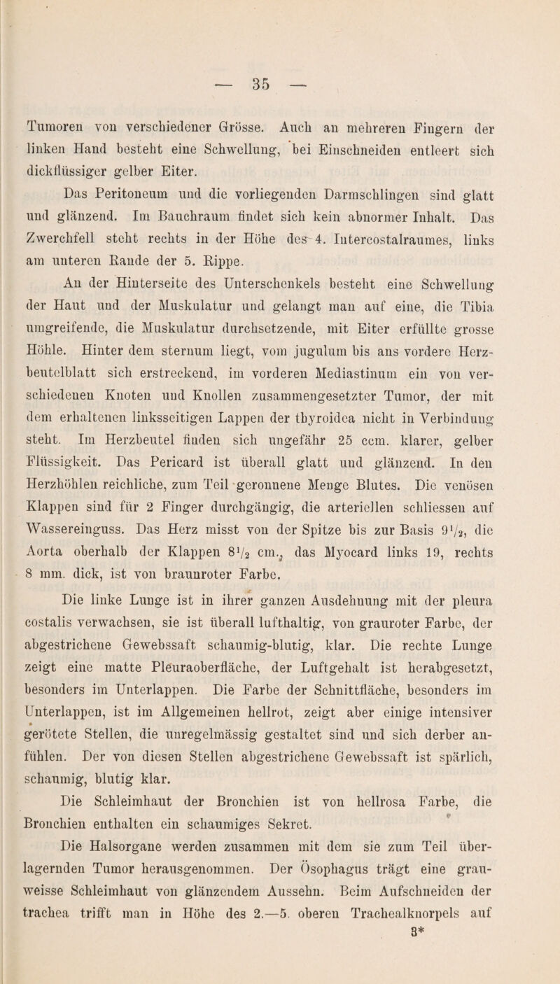 Tumoren von verschiedener Grösse. Aueh an mehreren Fingern der linken Hand besteht eine Schwellung, bei Einschneiden entleert sich dickflüssiger gelber Eiter. Das Peritoneum und die vorliegenden Darmschlingen sind glatt und glänzend. Im Bauchraum findet sich kein abnormer Inhalt. Das Zwerchfell steht rechts in der Höhe des-'4. Intereostalraumes, links am unteren Bande der 5. Rippe. An der Hinterseite des Unterschenkels besteht eine Schwellung der Haut und der Muskulatur und gelangt man auf eine, die Tibia umgreifende, die Muskulatur durchsetzende, mit Eiter erfüllte grosse Höhle. Hinter dem sternum liegt, vom jugulum bis ans vordere Herz¬ beutelblatt sich erstreckend, im vorderen Mediastinum ein von ver¬ schiedenen Knoten und Knollen zusammengesetzter Tumor, der mit dem erhaltenen linksseitigen Lappen der thyroidca nicht in Verbindung steht. Im Herzbeutel finden sich ungefähr 25 ccm. klarer, gelber Flüssigkeit. Das Pericard ist überall glatt und glänzend. In den Herzhöhlen reichliche, zum Teil geronnene Menge Blutes. Die venösen Klappen sind für 2 Finger durchgängig, die arteriellen schliessen auf Wassereinguss. Das Herz misst von der Spitze bis zur Basis 9 72, die Aorta oberhalb der Klappen 872 cm., das Mj'ocard links 19, rechts 8 mm. dick, ist von braunroter Farbe. 4 Die linke Lunge ist in ihrer ganzen Ausdehnung mit der pleura costalis verwachsen, sie ist überall lufthaltig, von grauroter Farbe, der abgestrichene Gewebssaft schaumig-blutig, klar. Die rechte Lunge zeigt eine matte Pleuraoberfläche, der Luftgehalt ist herabgesetzt, besonders im Unterlappen. Die Farbe der Schnittfläche, besonders im Unterlappen, ist im Allgemeinen hellrot, zeigt aber einige intensiver gerötete Stellen, die unregelmässig gestaltet sind und sich derber an¬ fühlen. Der von diesen Stellen abgestrichene Gewebssaft ist spärlich, schaumig, blutig klar. Die Schleimhaut der Bronchien ist von hellrosa Farbe, die Bronchien enthalten ein schaumiges Sekret. Die Halsorgane werden zusammen mit dem sie zum Teil über¬ lagernden Tumor herausgenommen. Der Ösophagus trägt eine grau- weisse Schleimhaut von glänzendem Aussehn. Beim Aufschneiden der trachea trifft man in Höhe des 2.—5. oberen Trachealknorpels auf 3*