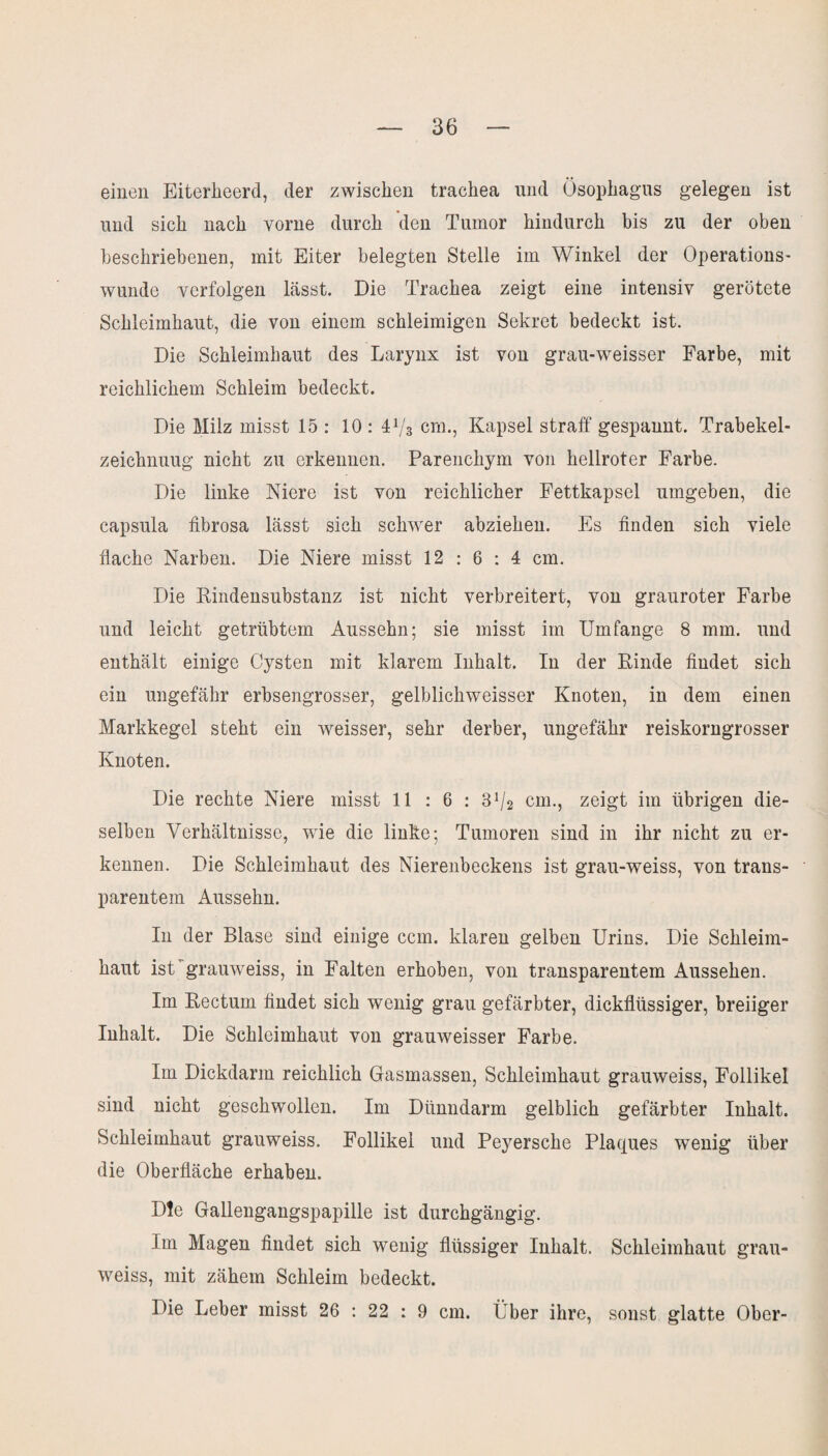 einen Eiterheerd, der zwischen trachea und Ösophagus gelegen ist und sich nach vorne durch den Tumor hindurch bis zu der oben beschriebenen, mit Eiter belegten Stelle im Winkel der Operations¬ wunde verfolgen lässt. Die Trachea zeigt eine intensiv gerötete Schleimhaut, die von einem schleimigen Sekret bedeckt ist. Die Schleimhaut des Larynx ist von grau-weisser Farbe, mit reichlichem Schleim bedeckt. Die Milz misst 15 : 10 : 4V3 cm., Kapsel straff gespannt. Trabekel- zeichnuug nicht zu erkennen. Parenchym von hellroter Farbe. Die linke Niere ist von reichlicher Fettkapsel umgeben, die capsula iibrosa lässt sich schwer abziehen. Es finden sich viele flache Narben. Die Niere misst 12:6:4 cm. Die Rindensubstanz ist nicht verbreitert, von grauroter Farbe und leicht getrübtem Aussehn; sie misst im Umfange 8 mm. und enthält einige Cysten mit klarem Inhalt. In der Rinde findet sich ein ungefähr erbsengrosser, gelblichweisser Knoten, in dem einen Markkegel steht ein weisser, sehr derber, ungefähr reiskorngrosser Knoten. Die rechte Niere misst 11 : 6 : 3^2 cm., zeigt im übrigen die¬ selben Verhältnisse, wie die linke; Tumoren sind in ihr nicht zu er¬ kennen. Die Schleimhaut des Nierenbeckens ist grau-weiss, von trans¬ parentem Aussehn. In der Blase sind einige ccm. klaren gelben Urins. Die Schleim¬ haut ist grauweiss, in Falten erhoben, von transparentem Aussehen. Im Rectum findet sich wenig grau gefärbter, dickflüssiger, breiiger Inhalt. Die Schleimhaut von grauweisser Farbe. Im Dickdarm reichlich Gasmassen, Schleimhaut grauweiss, Follikel sind nicht geschwollen. Im Dünndarm gelblich gefärbter Inhalt. Schleimhaut grauweiss. Follikel und Peyersche Plaques wenig über die Oberfläche erhaben. Die Gallengangspapille ist durchgängig. Im Magen findet sich wenig flüssiger Inhalt. Schleimhaut grau¬ weiss, mit zähem Schleim bedeckt. Die Leber misst 26 : 22 : 9 cm. Über ihre, sonst glatte Ober-