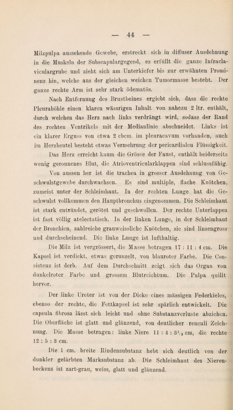 Milzpulpa aussehende Gewebe, erstreckt sich in diffuser Ausdehnung in die Muskeln der Subscapulargegend, es erfüllt die ganze Iufracla- yiculargrube und zieht sich am Unterkiefer bis zur erwähnten Promi¬ nenz hin, welche aus der gleichen weichen Tumormasse besteht. Der ganze rechte Arm ist sehr stark ödematös. Nach Entfernung des Brustbeines ergiebt sich, dass die rechte Pleurahöhle einen klaren wässrigen Inhalt von nahezu 2 ltr. enthält, durch welchen das Herz nach links verdrängt wird, sodass der Rand des rechten Ventrikels mit der Medianlinie abschneidet. Links ist ein klarer Erguss von etwa 2 cbcm. im pleuracavum vorhanden, auch im Herzbeutel besteht etAvas Vermehrung der pericardialen Flüssigkeit. Das Herz erreicht kaum die Grösse der Faust, enthält beiderseits wenig geronnenes Blut, die Atrioventricularklappen sind schlussfähig. Von aussen her ist die trachea in grosser Ausdehnung von Ge¬ schwulstgewebe durchwachsen. Es sind multiple, flache Knötchen, zumeist unter der Schleimhaut. In der rechten Lunge hat die Ge¬ schwulst vollkommen den Hauptbronchus eingenommen. Die Schleimhaut ist stark entzündet, gerötet und gescliAvollen. Der rechte Unterlappen ist fast völlig1 atelectatisch. In der linken Lunge, in der Schleimhaut der Bronchien, zahlreiche grauweisslichc Knötchen, sie sind linsengross und durchscheinend. Die linke Lunge ist lufthaltig. Die Milz ist vergrössert, die Masse betragen 17 : 11 : 4 cm. Die Kapsel ist verdickt, etwas gerunzelt, von blauroter Farbe. Die Con- sistenz ist derb. Auf dem Durchschnitt zeigt sich das Organ von dunkelroter Farbe und grossem Blutreichtum. Die Pulpa quillt hervor. Der linke Ureter ist von der Dicke eines mässigen Federkieles, ebenso der rechte, die Fettkapsel ist sehr spärlich entwickelt. Die capsula fibrosa lässt sich leicht und ohne Substanzverluste abziehen. Die Oberfläche ist glatt und glänzend, von deutlicher renculi Zeich¬ nung. Die Masse betragen: linke Niere ll:4:8b3cm, die rechte 12:5:3 cm. Die 1 cm. breite Rindensubstanz hebt sich deutlich von der dunkler gefärbten Marksubstanz ab. Die Schleimhaut des Nieren¬ beckens ist zart-grau, weiss, glatt und glänzend.