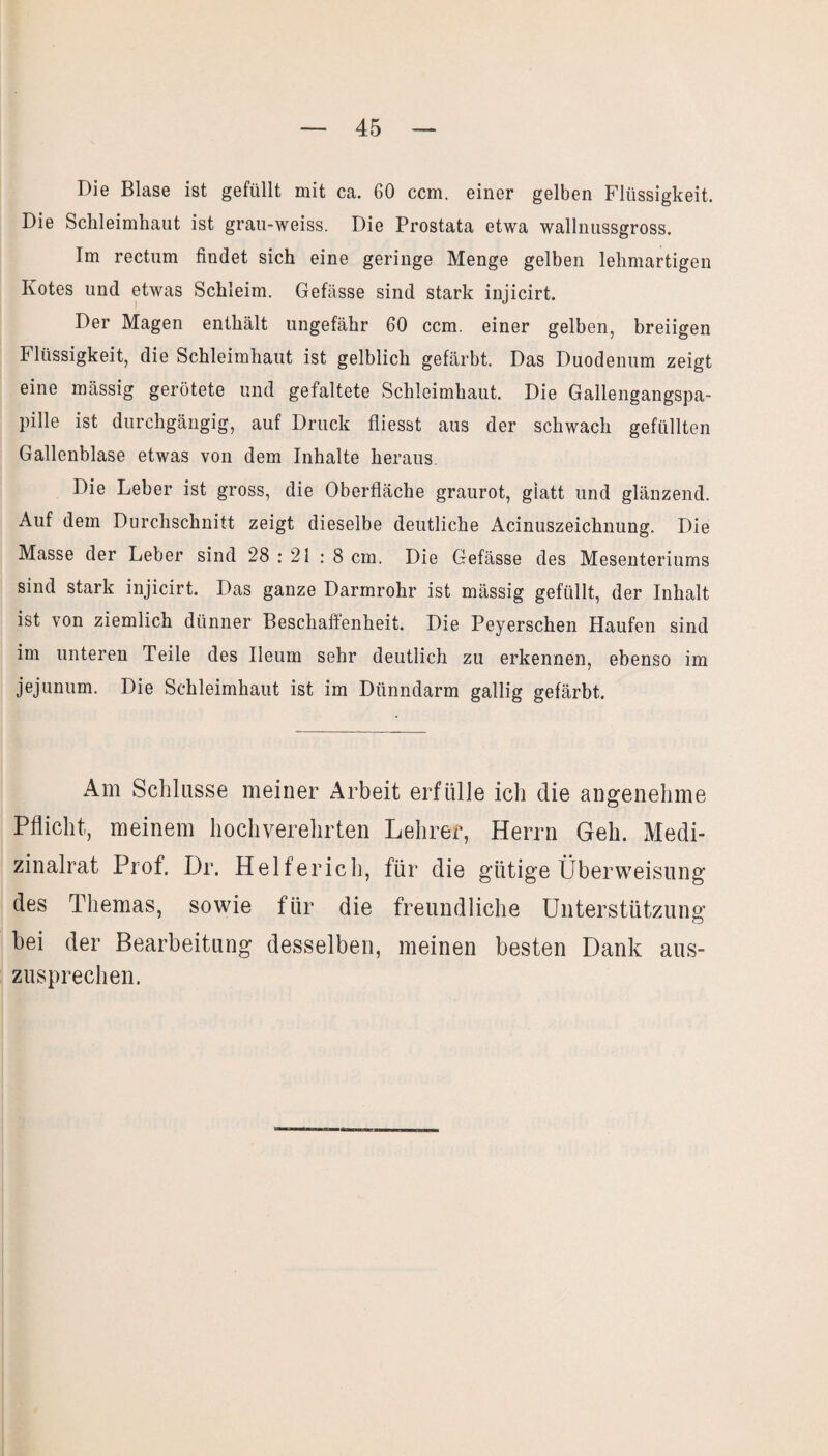 Die Blase ist gefüllt mit ca. GO ccm. einer gelben Flüssigkeit. Die Schleimhaut ist grau-weiss. Die Prostata etwa wallnussgross. Im rectum findet sich eine geringe Menge gelben lehmartigen Kotes und etwas Schleim. Gefässe sind stark injicirt. Der Magen enthält ungefähr 60 ccm. einer gelben, breiigen Flüssigkeit, die Schleimhaut ist gelblich gefärbt. Das Duodenum zeigt eine mässig gerötete und gefaltete Schleimhaut. Die Gallengangspa¬ pille ist durchgängig, auf Druck fliesst aus der schwach gefüllten Gallenblase etwas von dem Inhalte heraus. Die Leber ist gross, die Oberfläche graurot, giatt und glänzend. Auf dem Durchschnitt zeigt dieselbe deutliche Acinuszeichnung. Die Masse der Leber sind 28 : 21 : 8 cm. Die Gefässe des Mesenteriums sind stark injicirt. Das ganze Darmrohr ist mässig gefüllt, der Inhalt ist von ziemlich dünner Beschaffenheit. Die Peyerschen Haufen sind im unteren Teile des Ileum sehr deutlich zu erkennen, ebenso im jejunum. Die Schleimhaut ist im Dünndarm gallig gefärbt. Am Schlosse meiner Arbeit erfülle ich die angenehme Pflicht, meinem hochverehrten Lehrer, Herrn Geh. Medi¬ zinalrat Prof. Dr. Helferich, für die gütige Überweisung des Themas, sowie für die freundliche Unterstützung bei der Bearbeitung desselben, meinen besten Dank aus¬ zusprechen.