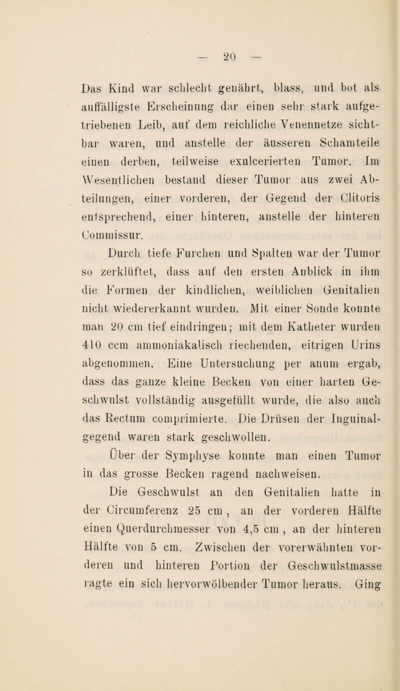 Das Kind war schlecht genährt, blass, und bot als auffälligste Erscheinung dar einen sehr stark aufge¬ triebenen Leib, auf dem reichliche Venennetze sicht- bar waren, und anstelle der äusseren Scham teile einen derben, teilweise exulcerierten Tumor. Im Wesentlichen bestand dieser Tumor aus zwei Ab¬ teilungen, einer vorderen, der Gegend der Clitoris entsprechend, einer hinteren, anstelle der hinteren Commissur. Durch tiefe Furchen und Spalten war der Tumor so zerklüftet, dass auf den ersten Anblick in ihm die Formen der kindlichen, weiblichen Genitalien nicht wiedererkannt wurden. Mit einer Sonde konnte man 20 cm tief eindringeu; mit dem Katheter wurden 410 ccm ammoniakalisch riechenden, eitrigen Urins abgenommen. Eine Untersuchung per anum ergab, dass das ganze kleine Becken von einer harten Ge¬ schwulst vollständig ausgefüllt wurde, die also auch das Rectum comprimierte. Die Drüsen der Inguinal¬ gegend waren stark geschwollen. Über der Symphyse konnte man einen Tumor in das grosse Becken ragend nach weisen. Die Geschwulst an den Genitalien hatte in der Circumferenz 25 cm , an der vorderen Hälfte einen Querdurchmesser von 4,5 cm , an der hinteren Hälfte von 5 cm. Zwischen der vorerwähnten vor¬ deren und hinteren Portion der Geschwulstmasse ragte ein sich hervorwölbender Tumor heraus. Ging