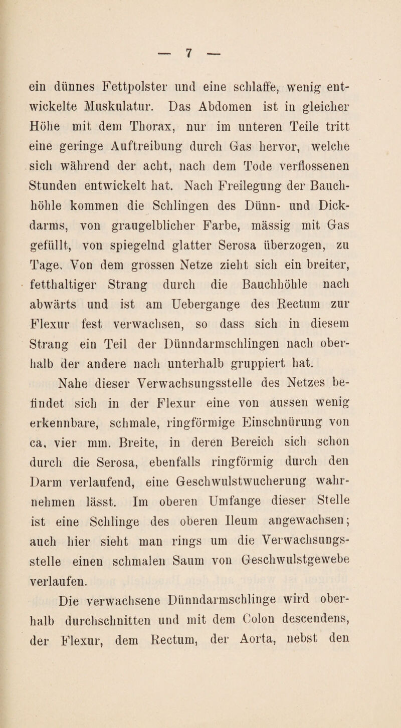 ein dünnes Fettpolster und eine schlaffe, wenig ent¬ wickelte Muskulatur. Das Abdomen ist in gleicher Höhe mit dem Thorax, nur im unteren Teile tritt eine geringe Auftreibung durch Gas hervor, welche sich während der acht, nach dem Tode verflossenen Stunden entwickelt hat. Nach Freilegung der Bauch¬ höhle kommen die Schlingen des Dünn- und Dick¬ darms, von graugelblicher Farbe, massig mit Gas gefüllt, von spiegelnd glatter Serosa überzogen, zu Tage. Von dem grossen Netze zieht sich ein breiter, fetthaltiger Strang durch die Bauchhöhle nach abwärts und ist am Uebergange des Rectum zur Flexur fest verwachsen, so dass sich in diesem Strang ein Teil der Dünndarmschlingen nach ober¬ halb der andere nach unterhalb gruppiert hat. Nahe dieser Verwachsungsstelle des Netzes be¬ findet sich in der Pdexur eine von aussen wenig erkennbare, schmale, ringförmige Plinschnürung von ca, vier mm. Breite, in deren Bereich sich schon durch die Serosa, ebenfalls ringförmig durch den Darm verlaufend, eine Geschwulstwucherung wahr¬ nehmen lässt. Im oberen Umfange dieser Stelle ist eine Schlinge des oberen Ileum angewachsen; auch hier sieht man rings um die Verwachsungs¬ stelle einen schmalen Saum von Geschwulstgewebe verlaufen. Die verwachsene Dünndarmschlinge wird ober¬ halb durchschnitten und mit dem Colon descendens, der Plexur, dem Rectum, der Aorta, nebst den