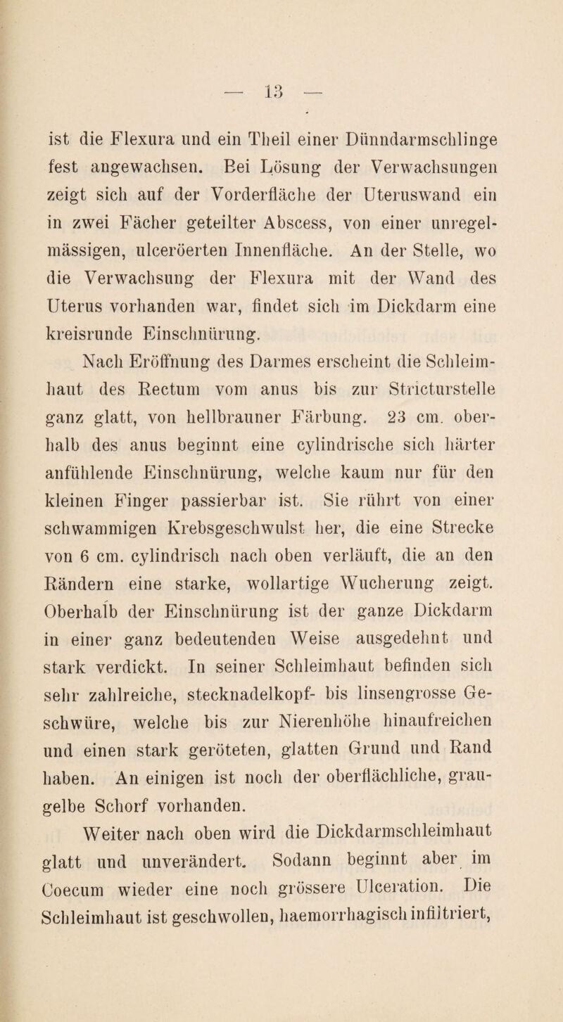 ist die Flexura und ein Theil einer Dünndarmschlinge fest angewachsen. Bei Lösung der Verwachsungen zeigt sich auf der Vorderfläche der üteruswand ein in zwei Fächer geteilter Abscess, von einer unregel¬ mässigen, ulceröerten Innenfläche. An der Stelle, wo die Verwachsung der Flexura mit der Wand des Uterus vorhanden war, flndet sich im Dickdarm eine kreisrunde Einschnürung. Nach Eröffnung des Darmes erscheint die Schleim¬ haut des Rectum vom anus bis zur Stricturstelle ganz glatt, von hellbrauner Färbung. 23 cm. ober¬ halb des anus beginnt eine cylindrische sich härter anfühlende Einschnürung, welche kaum nur für den kleinen Finger passierbar ist. Sie rührt von einer schwammigen Krebsgeschwulst her, die eine Strecke von 6 cm. cylindrisch nach oben verläuft, die an den Rändern eine starke, wollartige Wucherung zeigt. Oberhalb der Einschnürung ist der ganze Dickdarm in einer ganz bedeutenden Weise ausgedehnt und stark verdickt. In seiner Schleimhaut befinden sich sehr zahlreiche, Stecknadelkopf- bis linsengrosse Ge¬ schwüre, welche bis zur Nierenhöhe hinaufreichen und einen stark geröteten, glatten Grund und Rand haben. An einigen ist noch der oberflächliche, grau¬ gelbe Schorf vorhanden. Weiter nach oben wird die Dickdarmschleimhaut glatt und unverändert. Sodann beginnt aber im Coecum wieder eine noch grössere Ulceration. Die Schleimhaut ist geschwollen, haemorrhagisch infiltriert.