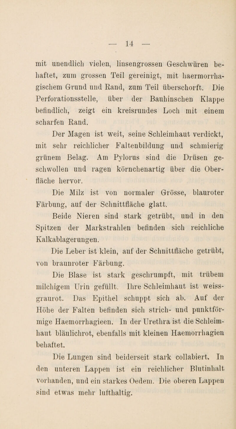 mit unendlich vielen, linsengrossen Geschwüren be¬ haftet, zum grossen Teil gereinigt, mit haermorrha- gischem Grund und Rand, zum Teil überschorft. Die Perforationsstelle, über der Bauhinschen Klappe befindlich, zeigt ein kreisrundes Loch mit einem scharfen Rand. Der Magen ist weit, seine Schleimhaut verdickt, mit sehr reichlicher Faltenbildung und schmierig grünem Belag. Am Pylorus sind die Drüsen ge¬ schwollen und ragen körnchenartig über die Ober¬ fläche hervor. Die Milz ist von normaler Grösse, blauroter Färbung, auf der Schnittfläche glatt. Beide Nieren sind stark getrübt, und in den Spitzen der Markstrahlen befinden sich reichliche Kalkablagerungen. Die Leber ist klein, auf der Schnittfläche getrübt, von braunroter Färbung. Die Blase ist stark geschrumpft, mit trübem milchigem Urin gefüllt. Ihre Schleimhaut ist weiss¬ graurot. Das Epithel schuppt sich ab. Auf der Höhe der Falten befinden sich strich- und punktför¬ mige Haemorrhagieen. In der Urethra ist die Schleim¬ haut bläulichrot, ebenfalls mit kleinen Haemorrliagien behaftet. Die Lungen sind beiderseit stark collabiert. In den unteren Lappen ist ein reichlicher Blutinlialt vorhanden, und ein starkes Oedem, Die oberen Lappen sind etwas mehr lufthaltig.