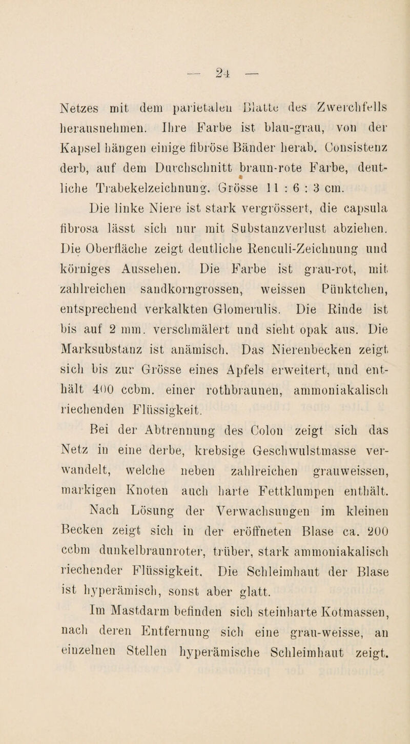 2-1 — Netzes mit dem parietalen Blatte des Zwerchfells herausnelimeii. Ihre Farbe ist blau-grau, von der Kapsel hängen einige fibröse Bänder herab. Consistenz derb, auf dem Durchschnitt braun-rote Farbe, deut- liehe Trabekelzeichnung, Grösse 11:6:3 cm. Die linke Niere ist stark vergrössert, die capsula fibrosa lässt sich nur mit Substanzverlust abziehen. Die Oberfläche zeigt deutliche Renculi-Zeichuung und körniges Aussehen. Die Farbe ist grau-rot, mit zahlreichen sandkorngrossen, weissen Pünktchen, entsprechend verkalkten Glomerulis. Die Rinde ist bis auf 2 mm. verschmälert und sieht opak aus. Die Marksubstanz ist anämisch. Das Nierenbecken zeigt sich bis zur Grösse eines Apfels erweitert, und ent¬ hält 400 cebm. einer rothbraunen, ammoniakalisch riechenden Flüssigkeit. Bei der Abtrennung des Colon zeigt sich das Netz in eine derbe, krebsige Geschwulstmasse ver¬ wandelt, welche neben zahlreichen grauweissen, markigen Knoten auch harte Fettklumpen enthält. Nach Lösung der Verwachsungen im kleinen Becken zeigt sich in der erölfneten Blase ca. 200 ccbm dunkelbraunroter, trüber, stark ammoniakalisch riechender Flüssigkeit. Die Schleimhaut der Blase ist hyperämisch, sonst aber glatt. Im Mastdarm befinden sich steinliarte Kotmassen, nach deren Entfernung sicli eine grau-weisse, an einzelnen Stellen hyperämische Schleimhaut zeigt.