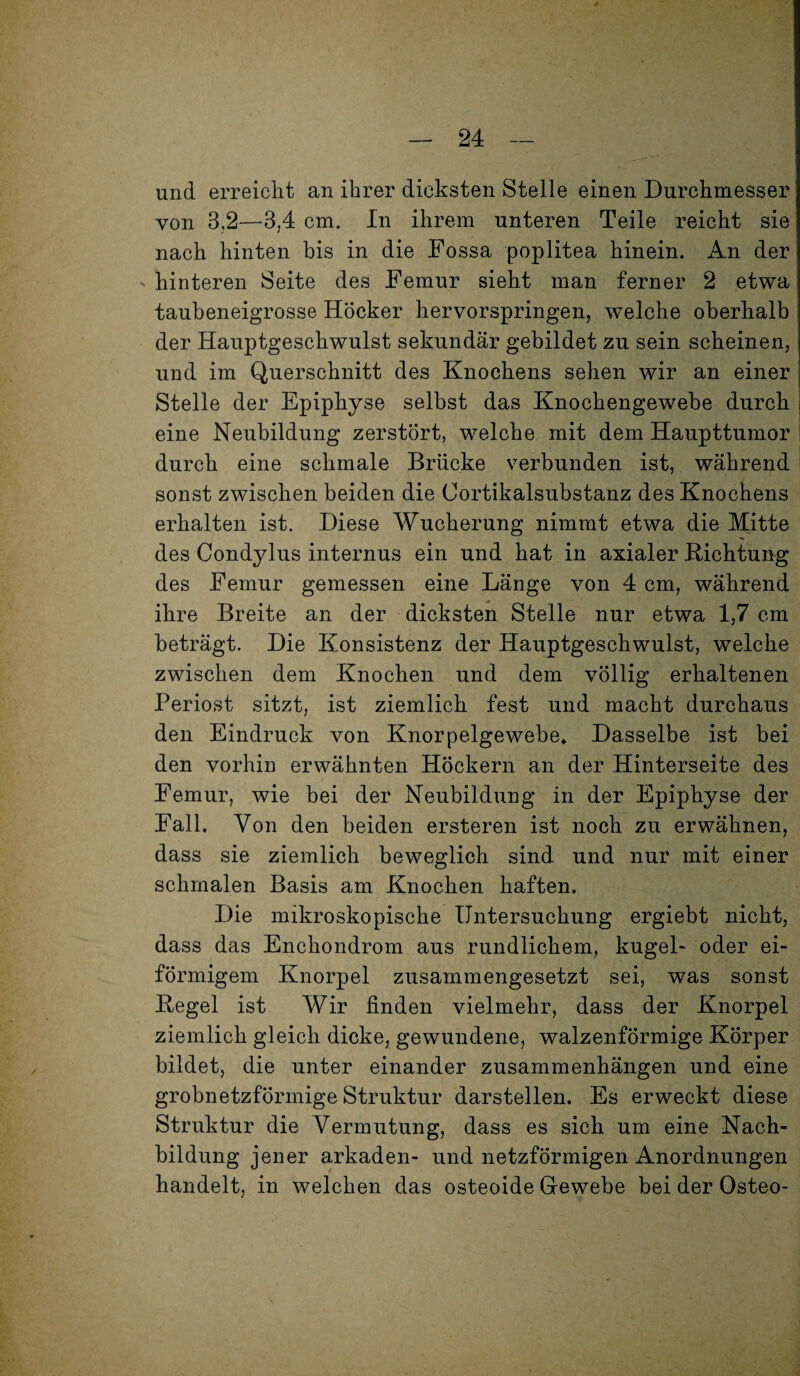 und erreicht an ihrer dicksten Stelle einen Durchmesser von 3,2—3,4 cm. In ihrem unteren Teile reicht sie nach hinten bis in die Fossa poplitea hinein. An der hinteren Seite des Femur sieht man ferner 2 etwa' taubeneigrosse Höcker hervorspringen, welche oberhalb der Hauptgeschwulst sekundär gebildet zu sein scheinen, und im Querschnitt des Knochens sehen wir an einer Stelle der Epiphyse selbst das Knochengewebe durch eine Neubildung zerstört, welche mit dem Haupttumor durch eine schmale Brücke verbunden ist, während sonst zwischen beiden die Cortikalsubstanz des Knochens erhalten ist. Diese Wucherung nimmt etwa die Mitte des Condylus internus ein und hat in axialer Kichtung des Femur gemessen eine Länge von 4 cm, während ihre Breite an der dicksten Stelle nur etwa 1,7 cm beträgt. Die Konsistenz der Hauptgeschwulst, welche zwischen dem Knochen und dem völlig erhaltenen Periost sitzt, ist ziemlich fest und macht durchaus den Eindruck von Knorpelgewebe* Dasselbe ist bei den vorhin erwähnten Höckern an der Hinterseite des Femur, wie bei der Neubildung in der Epiphyse der Fall. Von den beiden ersteren ist noch zu erwähnen, dass sie ziemlich beweglich sind und nur mit einer schmalen Basis am Knochen haften. Die mikroskopische Untersuchung ergiebt nicht, dass das Enchondrom aus rundlichem, kugel- oder ei¬ förmigem Knorpel zusammengesetzt sei, was sonst Kegel ist Wir finden vielmehr, dass der Knorpel ziemlich gleich dicke, gewundene, walzenförmige Körper bildet, die unter einander Zusammenhängen und eine grobnetzförmige Struktur darstellen. Es erweckt diese Struktur die Vermutung, dass es sich um eine Nach¬ bildung jener arkaden- und netzförmigen Anordnungen handelt, in welchen das osteoide Grewebe bei der Osteo-