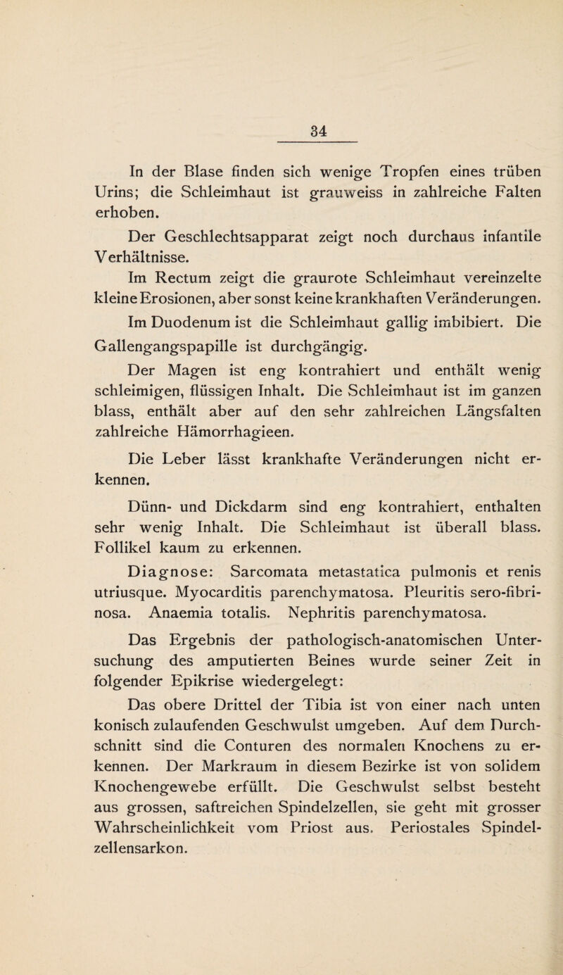 In der Blase finden sich wenige Tropfen eines trüben Urins; die Schleimhaut ist grauweiss in zahlreiche Falten erhoben. Der Geschlechtsapparat zeigt noch durchaus infantile Verhältnisse. Im Rectum zeigt die graurote Schleimhaut vereinzelte kleine Erosionen, aber sonst keine krankhaften Veränderungen. Im Duodenum ist die Schleimhaut gallig imbibiert. Die Gallengangspapille ist durchgängig. Der Magen ist eng kontrahiert und enthält wenig schleimigen, flüssigen Inhalt. Die Schleimhaut ist im ganzen blass, enthält aber auf den sehr zahlreichen Längsfalten zahlreiche Hämorrhagieen. Die Leber lässt krankhafte Veränderungen nicht er¬ kennen. Dünn- und Dickdarm sind eng kontrahiert, enthalten sehr wenig Inhalt. Die Schleimhaut ist überall blass. Follikel kaum zu erkennen. Diagnose: Sarcomata metastatica pulmonis et renis utriusque. Myocarditis parenchymatosa. Pleuritis sero-fibri- nosa. Anaemia totalis. Nephritis parenchymatosa. Das Ergebnis der pathologisch-anatomischen Unter¬ suchung des amputierten Beines wurde seiner Zeit in folgender Epikrise wiedergelegt: Das obere Drittel der Tibia ist von einer nach unten konisch zulaufenden Geschwulst umgeben. Auf dem Durch¬ schnitt sind die Conturen des normalen Knochens zu er¬ kennen. Der Markraum in diesem Bezirke ist von solidem Knochengewebe erfüllt. Die Geschwulst selbst besteht aus grossen, saftreichen Spindelzellen, sie geht mit grosser Wahrscheinlichkeit vom Priost aus» Periostales Spindel- zellensarkon.