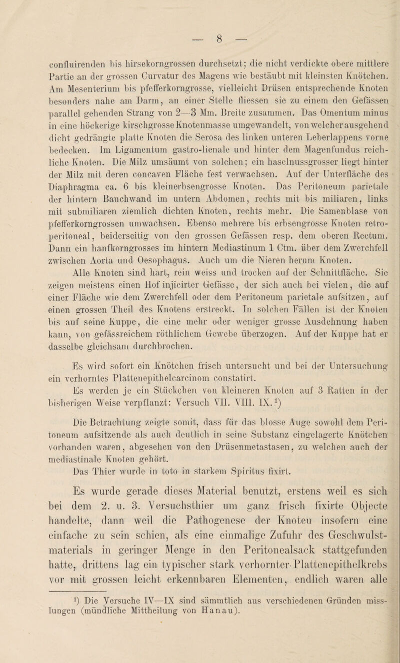confluirenden bis hirsekorngrossen durchsetzt; die nicht verdickte obere mittlere Partie an der grossen Curvatur des Magens wie bestäubt mit kleinsten Knötchen. Am Mesenterium bis pfefferkorngrosse, vielleicht Drüsen entsprechende Knoten besonders nahe am Darm, an einer Stelle fliessen sie zu einem den Gefässen parallel gehenden Strang von 2—3 Mm. Breite zusammen. Das Omentum minus in eine höckerige kirschgrosse Knotenmasse umgewandelt, von welcher ausgehend dicht gedrängte platte Knoten die Serosa des linken unteren Leberlappens vorne bedecken. Im Ligamentum gastro-lienale und hinter dem Magenfundus reich¬ liche Knoten. Die Milz umsäumt von solchen; ein haselnussgrosser liegt hinter der Milz mit deren concaven Fläche fest verwachsen. Auf der Unterfläche des Diaphragma ca. 6 bis kleinerbsengrosse Knoten. Das Peritoneum parietale der hintern Bauchwand im untern Abdomen, rechts mit bis miliaren, links mit submiliaren ziemlich dichten Knoten, rechts mehr. Die Samenblase von pfefferkorngrossen umwachsen. Ebenso mehrere bis erbsengrosse Knoten retro- peritoneal, beiderseitig von den grossen Gefässen resp. dem oberen Rectum. Dann ein hanfkorngrosses im hintern Mediastinum 1 Ctm. über dem Zwerchfell zwischen Aorta und Oesophagus. Auch um die Nieren herum Knoten. Alle Knoten sind hart, rein weiss und trocken auf der Schnittfläche. Sie zeigen meistens einen Hof injicirter Gefässe, der sich auch bei vielen, die auf einer Fläche wie dem Zwerchfell oder dem Peritoneum parietale aufsitzen, auf einen grossen Theil des Knotens erstreckt. In solchen Fällen ist der Knoten bis auf seine Kuppe, die eine mehr oder weniger grosse Ausdehnung haben kann, von gefässreichem röthlichem Gewebe überzogen. Auf der Kuppe hat er dasselbe gleichsam durchbrochen. Es wird sofort ein Knötchen frisch untersucht und bei der Untersuchung ein verhorntes Plattenepithelcarcinom constatirt. Es werden je ein Stückchen von kleineren Knoten auf 3 Ratten in der bisherigen Weise verpflanzt: Versuch VII. VIII. IX.1) Die Betrachtung zeigte somit, dass für das blosse Auge sowohl dem Peri¬ toneum aufsitzende als auch deutlich in seine Substanz eingelagerte Knötchen vorhanden waren, abgesehen von den Drüsenmetastasen, zu welchen auch der mediastinale Knoten gehört. Das Thier wurde in toto in starkem Spiritus fixirt. Es wurde gerade dieses Material benutzt, erstens weil es sich bei dem 2. u. 3. Versuchsthier um ganz frisch fixirte Objecte handelte, dann weil die Pathogenese der Knoten insofern eine einfache zu sein schien, als eine einmalige Zufuhr des Geschwulst¬ materials in geringer Menge in den Peritonealsack stattgefunden hatte, drittens lag ein typischer stark verhornter-Plattenepithelkrebs vor mit grossen leicht erkennbaren Elementen, endlich waren alle U Die yersuche IV—IX sind sämmtlich aus verschiedenen Gründen miss¬ lungen (mündliche Mittheilung von Hanau).