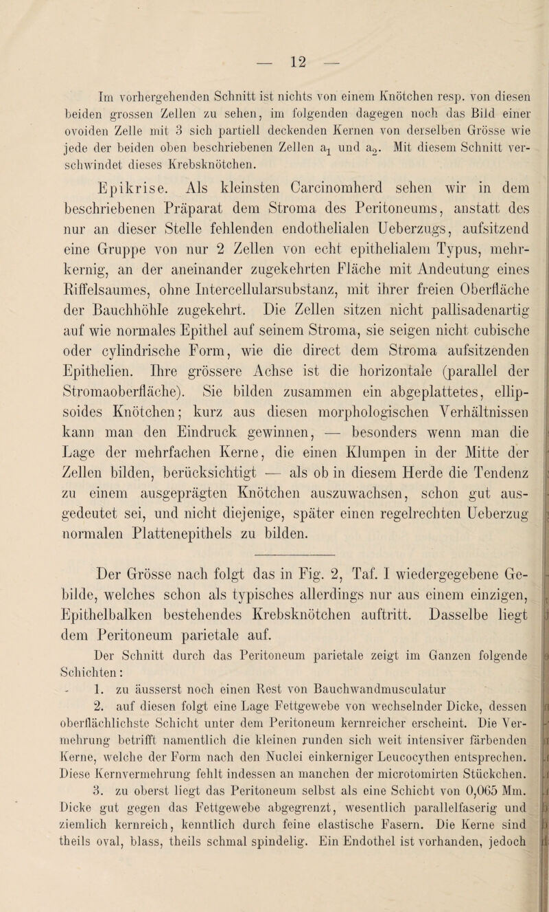 Im vorhergehenden Schnitt ist nichts von einem Knötchen resp. von diesen beiden grossen Zellen zu sehen, im folgenden dagegen noch das Bild einer ovoiden Zelle mit 3 sich partiell deckenden Kernen von derselben Grösse wie jede der beiden oben beschriebenen Zellen ax und a2. Mit diesem Schnitt ver¬ schwindet dieses Krebsknötchen. Epikrise. Als kleinsten Carcinomherd sehen wir in dem beschriebenen Präparat dem Stroma des Peritoneums, anstatt des nur an dieser Stelle fehlenden endothelialen Ueberzugs, aufsitzend eine Gruppe von nur 2 Zellen von echt epithelialem Typus, mehr¬ kernig, an der aneinander zugekehrten Fläche mit Andeutung eines Riffelsaumes, ohne Intercellularsubstanz, mit ihrer freien Oberfläche der Bauchhöhle zugekehrt. Die Zellen sitzen nicht pallisadenartig auf wie normales Epithel auf seinem Stroma, sie seigen nicht cubische oder cylindrische Form, wie die direct dem Stroma aufsitzenden Epithelien. Ihre grössere Achse ist die horizontale (parallel der Stromaoberfläche). Sie bilden zusammen ein abgeplattetes, ellip- soides Knötchen; kurz aus diesen morphologischen Verhältnissen kann man den Eindruck gewinnen, — besonders wenn man die Lage der mehrfachen Kerne, die einen Klumpen in der Mitte der Zellen bilden, berücksichtigt •— als ob in diesem Herde die Tendenz zu einem ausgeprägten Knötchen auszuwachsen, schon gut aus¬ gedeutet sei, und nicht diejenige, später einen regelrechten Ueberzug normalen Plattenepithels zu bilden. Der Grösse nach folgt das in Fig. 2, Taf. I wiedergegebene Ge¬ bilde, welches schon als typisches allerdings nur aus einem einzigen, Epithelbalken bestehendes Krebsknötchen auftritt. Dasselbe liegt dem Peritoneum parietale auf. Der Schnitt durch das Peritoneum parietale zeigt im Ganzen folgende Schichten: 1. zu äusserst noch einen Rest von Bauchwandmusculatur 2. auf diesen folgt eine Lage Fettgewebe von wechselnder Dicke, dessen oberflächlichste Schicht unter dem Peritoneum kernreicher erscheint. Die Ver¬ mehrung betrifft namentlich die kleinen runden sich weit intensiver färbenden Kerne, welche der Form nach den Nuclei einkerniger Leucocythen entsprechen. Diese Kernvermehrung fehlt indessen an manchen der microtomirten Stückchen. 3. zu oberst liegt das Peritoneum selbst als eine Schicht von 0,065 Mm. Dicke gut gegen das Fettgewebe abgegrenzt, wesentlich parallelfaserig und ziemlich kernreich, kenntlich durch feine elastische Fasern. Die Kerne sind theils oval, blass, theils schmal spindelig. Ein Endothel ist vorhanden, jedoch